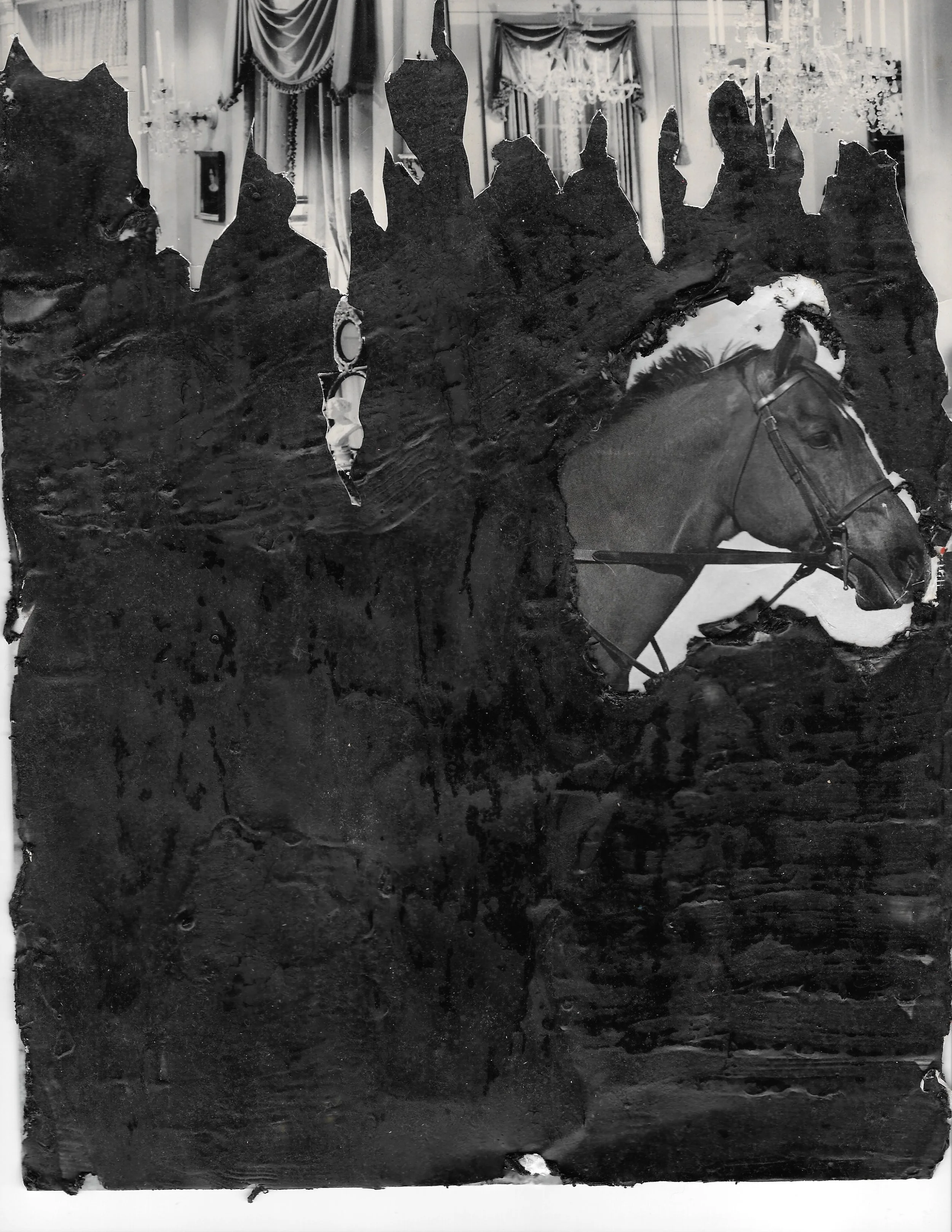 Scan 5.jpeg