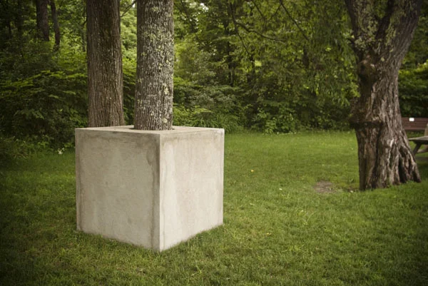 Tree Cube II , 2013 detail