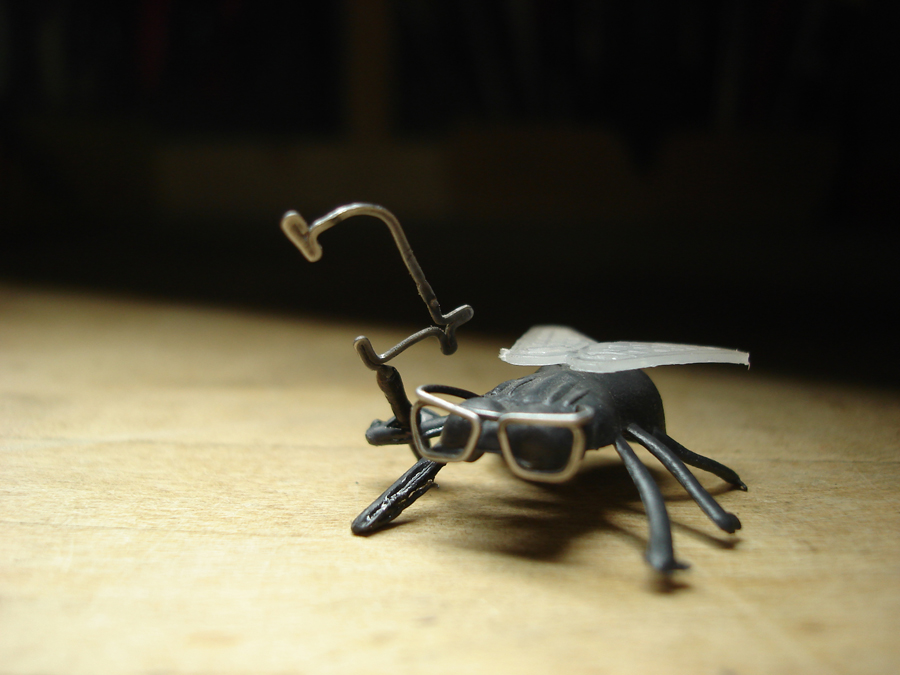 Fly Guy