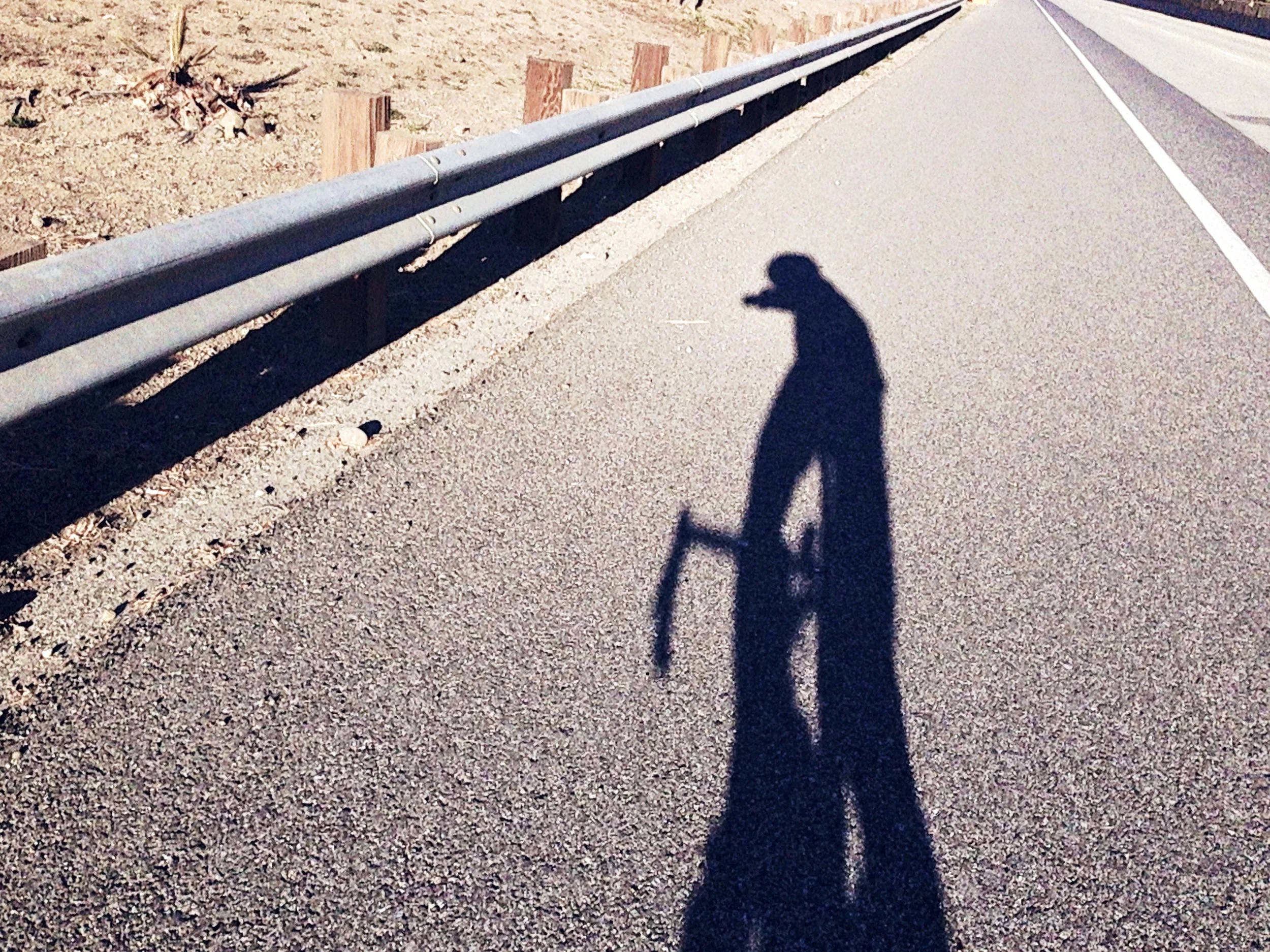 Long shadows cast on Monterey highway.