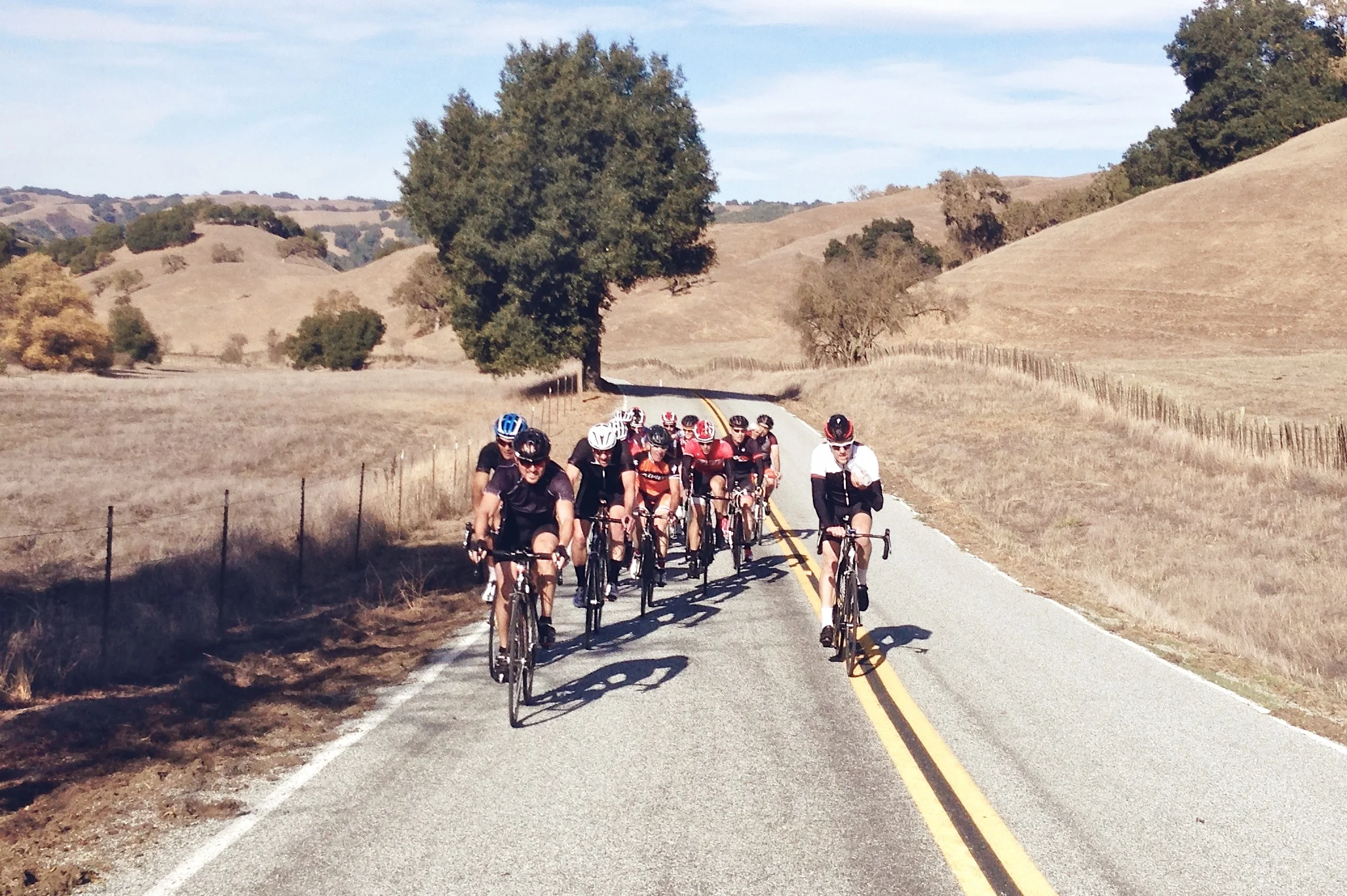 The Specialized Thanksgiving lunch ride crew.