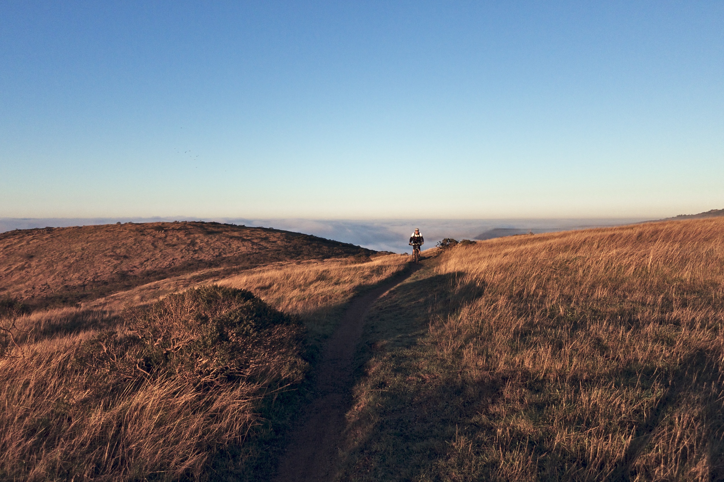 Dawn Patrol