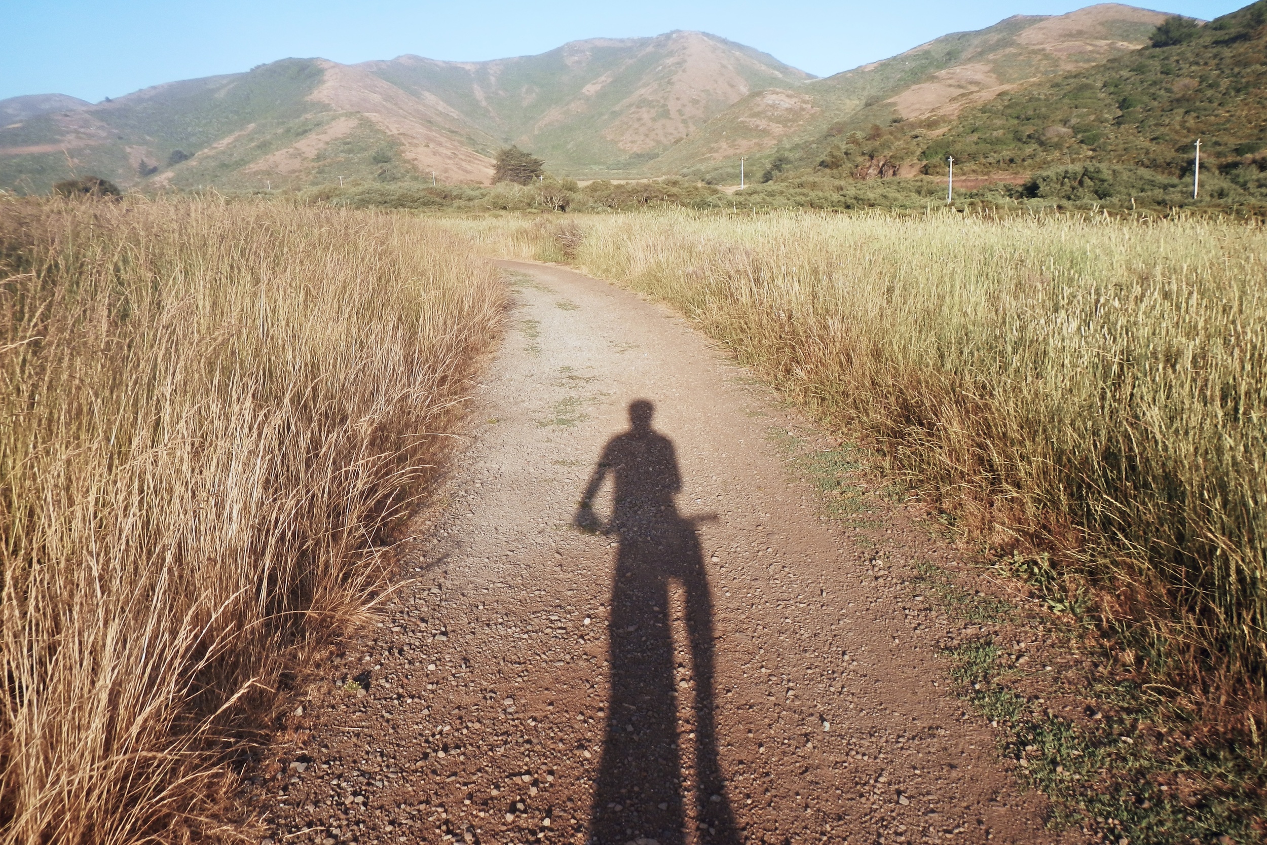 Afternoon Shadow