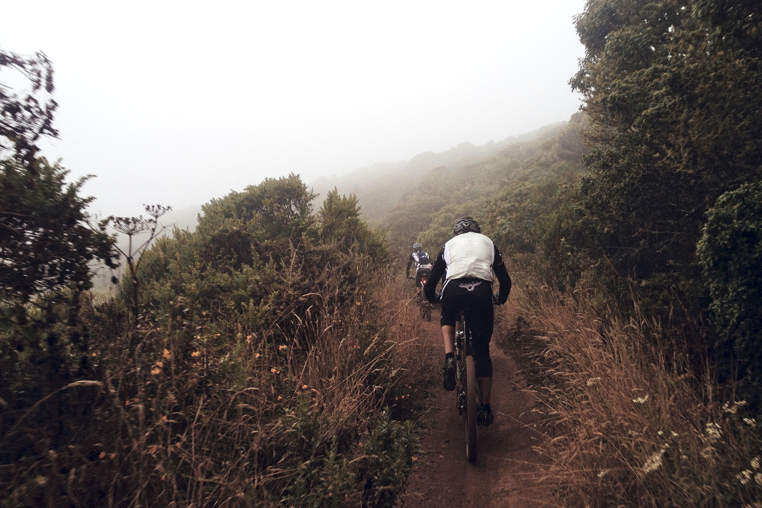 Single Track