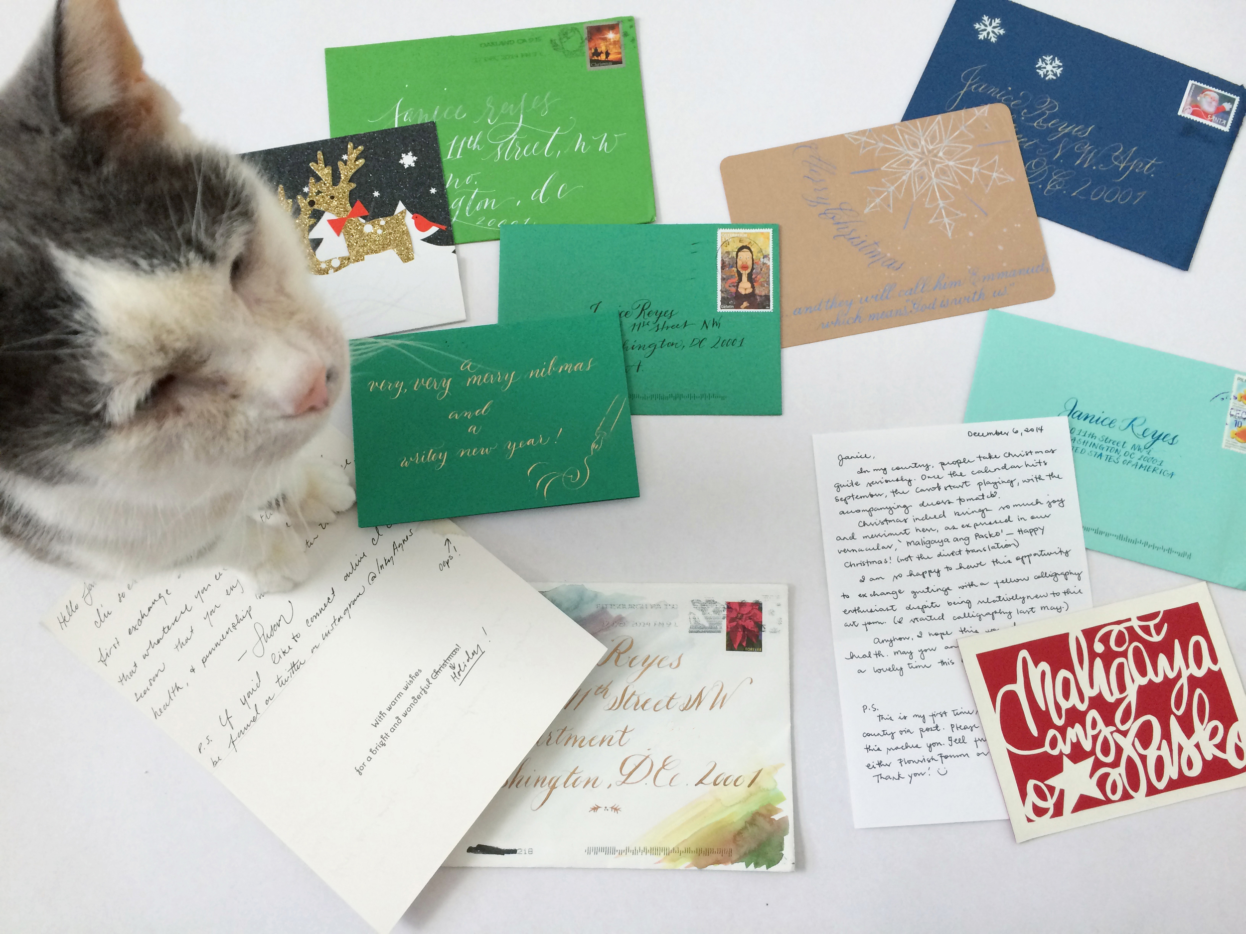 Frances giving the nod of approval. Letters beautifully created by my Flourish Forum Holiday Exchange group.