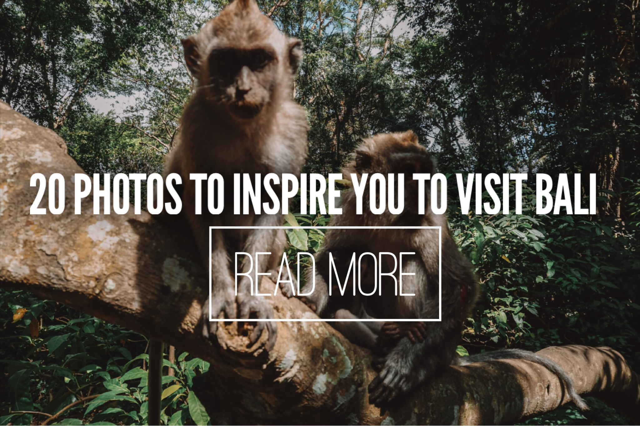 20 photos to inspire you to visit bali