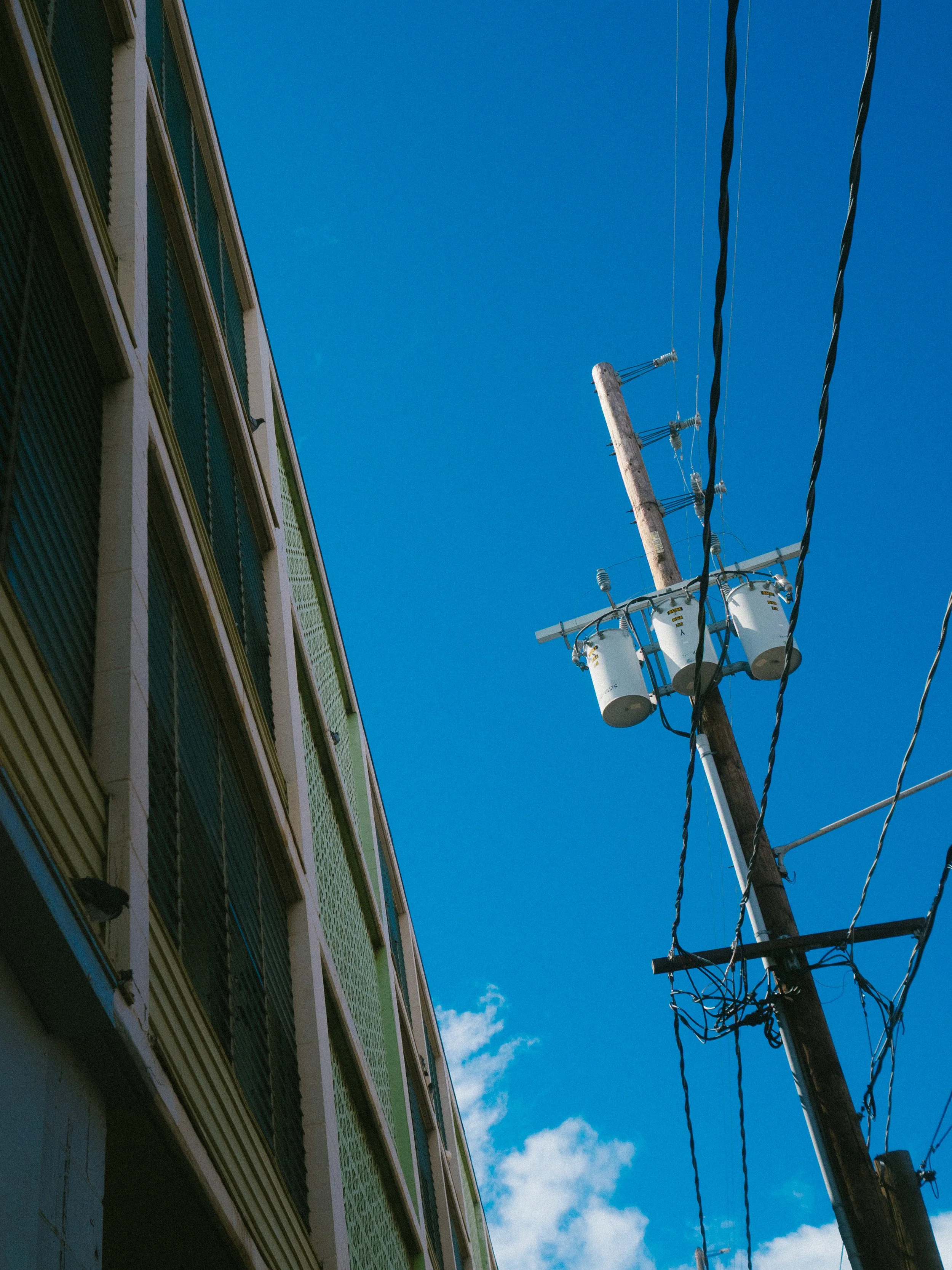 PA070267.jpg