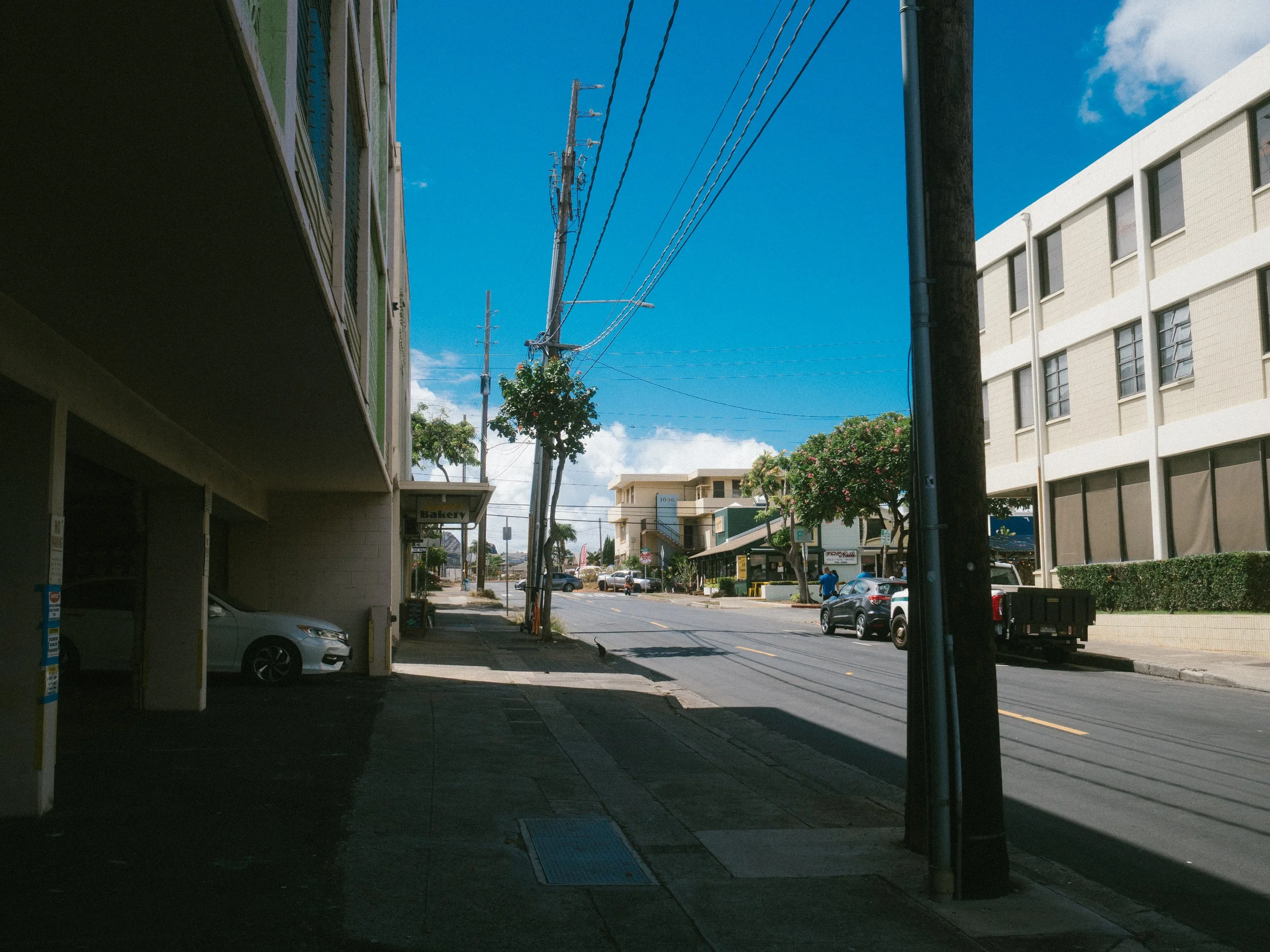 PA070273.jpg