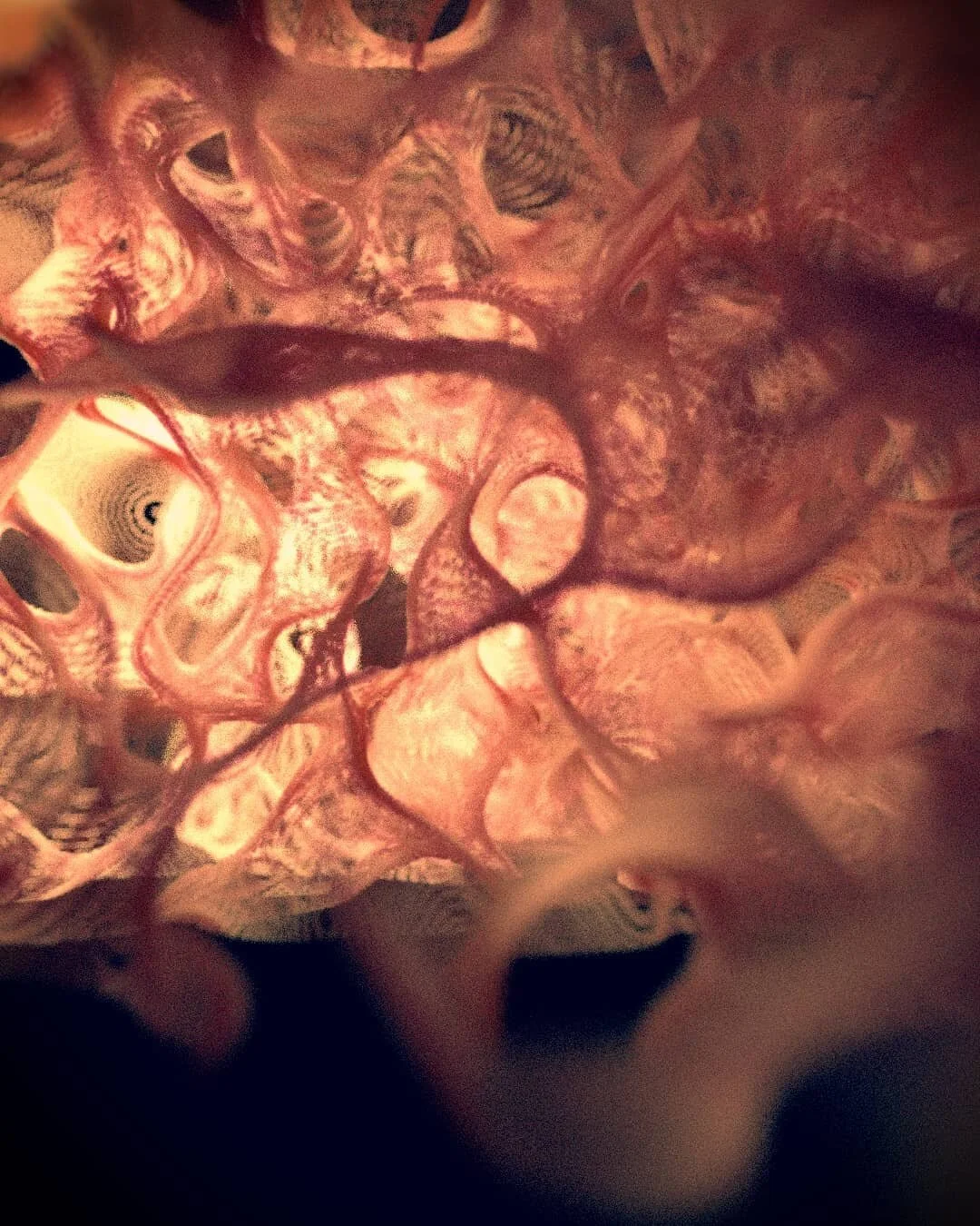 Candy cloud
.
#octanerender #octane #c4d #cinema4d #exploration #candy #coton #cotton