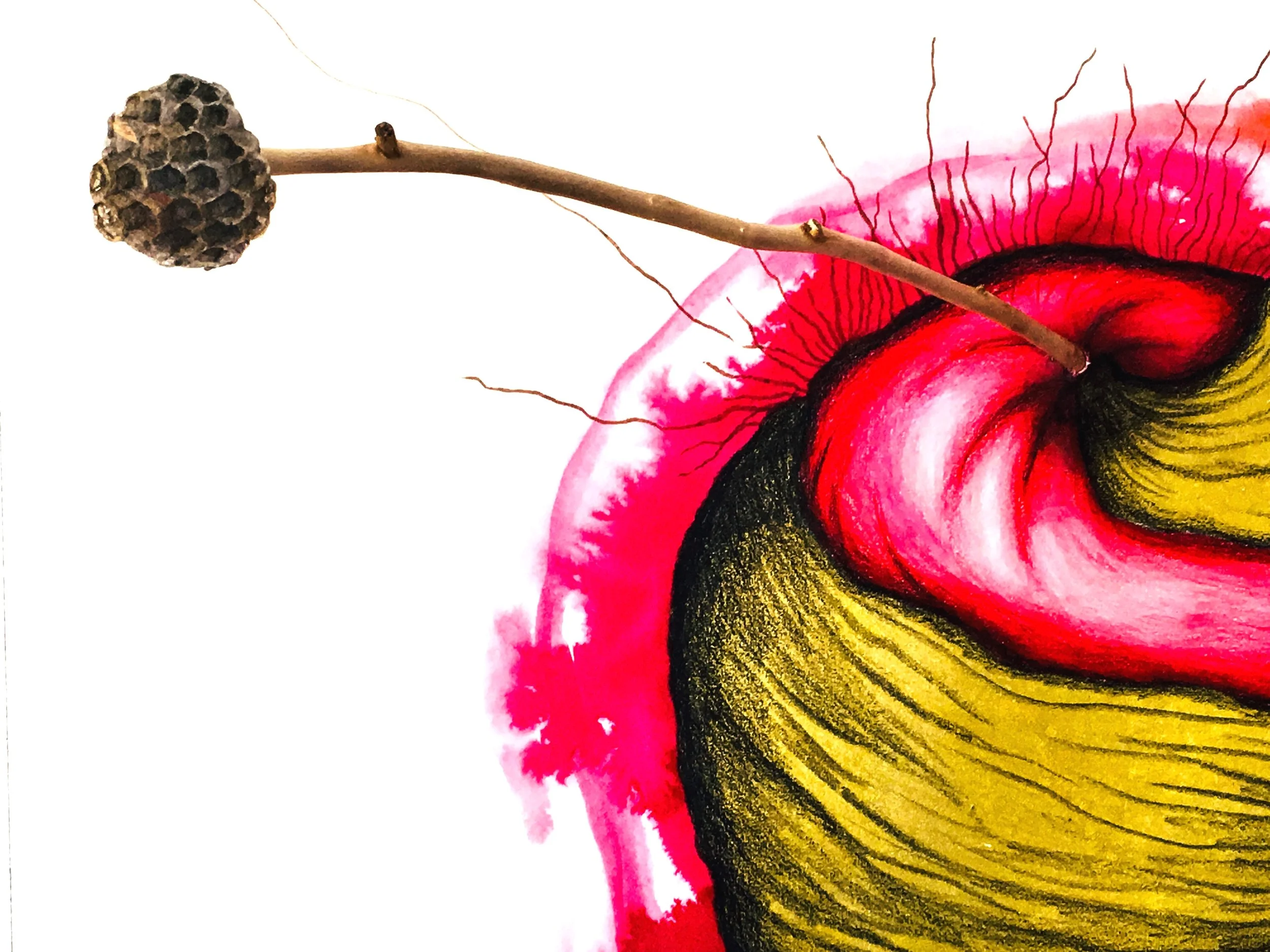 Root Home (Detail)