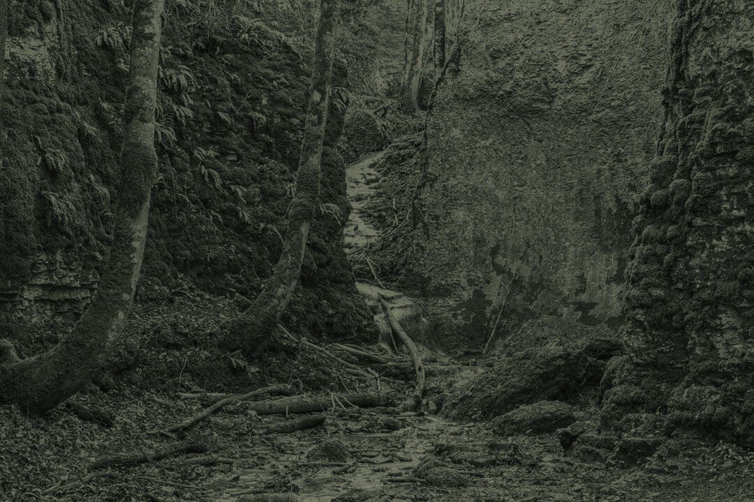 Forest Spirits / Haute-Marne, France. 2022

#bwphotography #forestspirits #eerie #darkecology #&eacute;cologiesombre
@amelie.labourdette #amelielabourdette