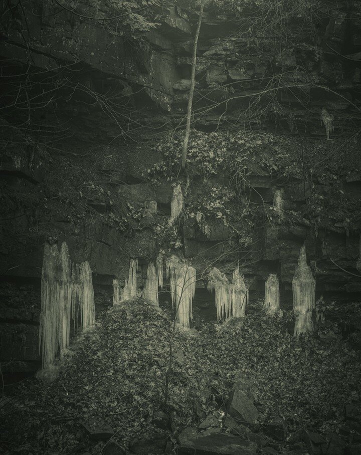 Forest Spirits / Albany NY, United States. 2022

#bwphotography #forestspirits #eerie #darkecology #&eacute;cologiesombre
@amelie.labourdette #amelielabourdette