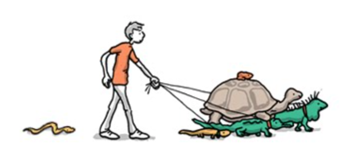 The CURRENT Company to Represent Grant Snider for Licensing