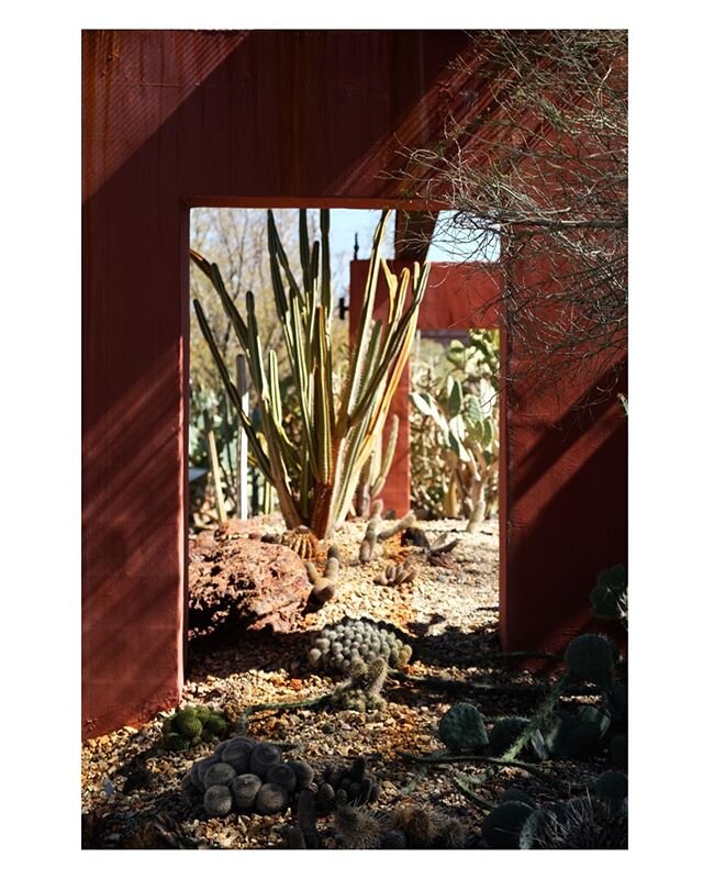 Desert Doorways .
.
.
.
#desert #desertlife #cactus #cacti #botanicalgardens #arizona #travel