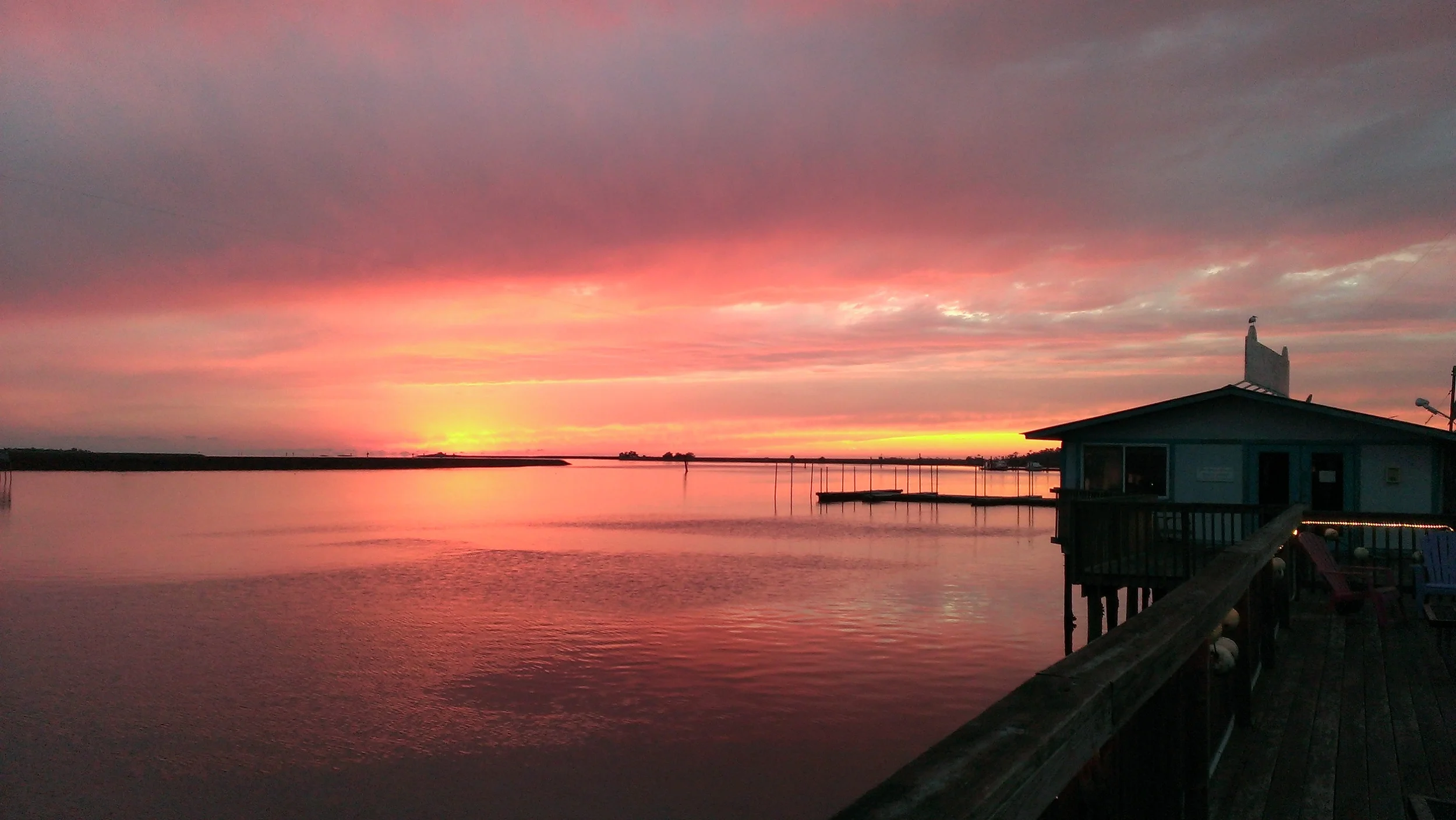 IMAG0133.jpg