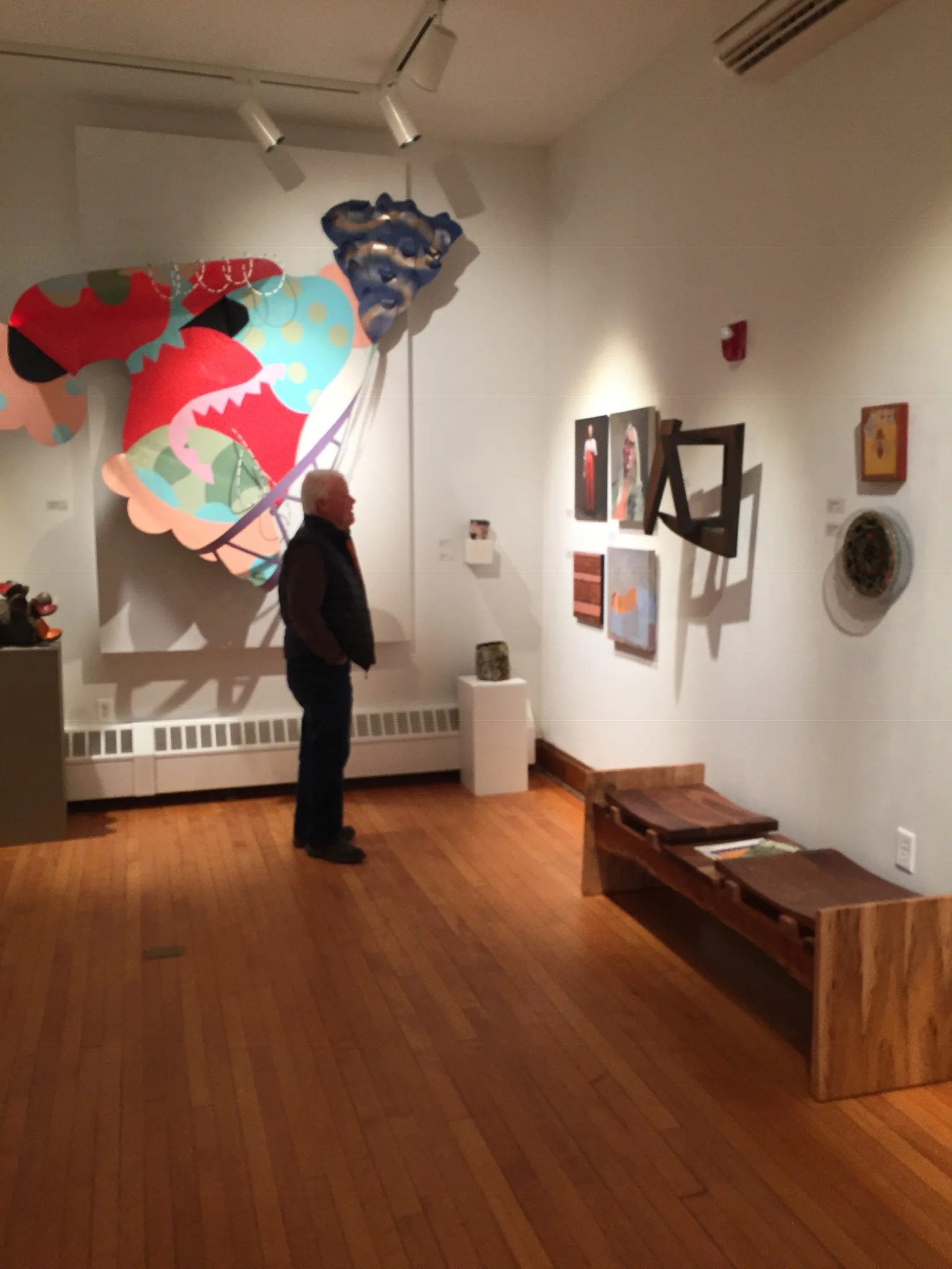 Arts Connect Juried Show. Catamount Arts 