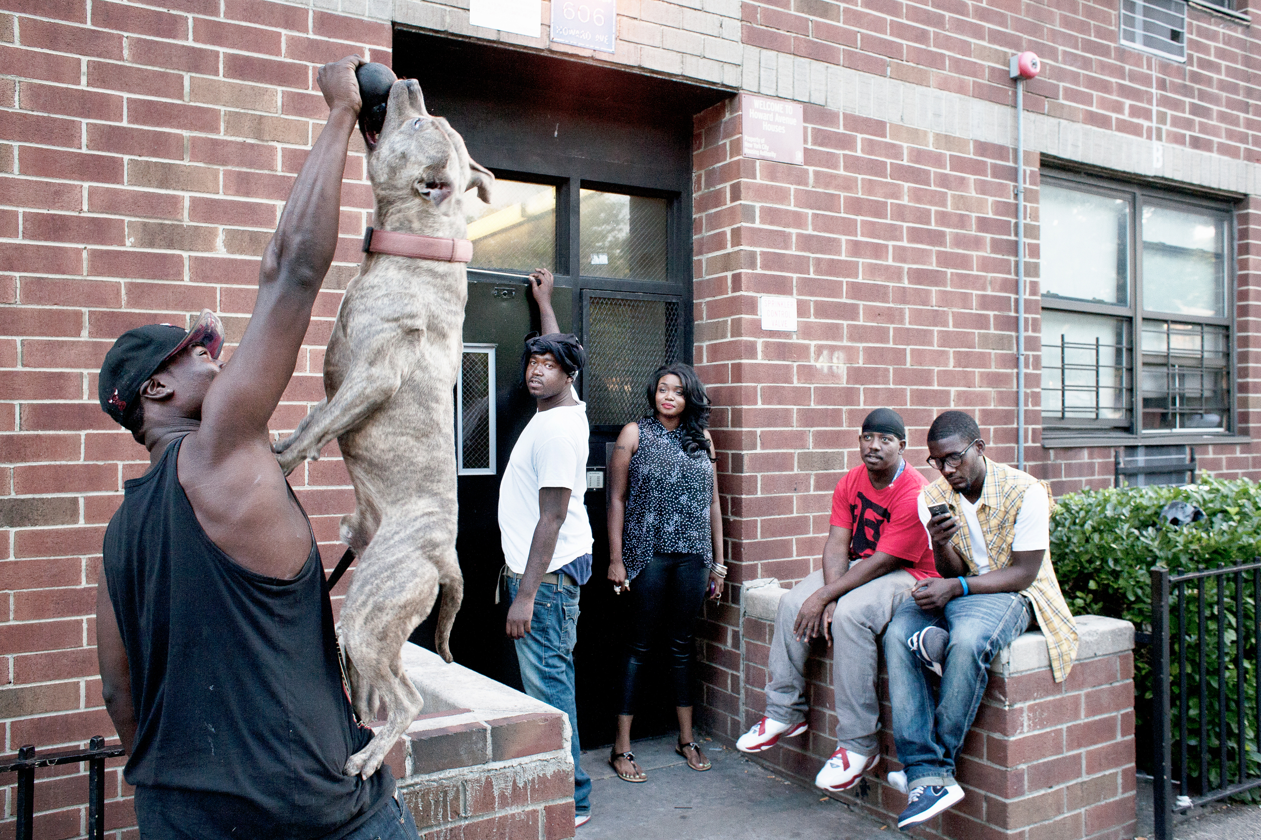 A man plays with his pit bull in front of Park Rock Houses, 2013.