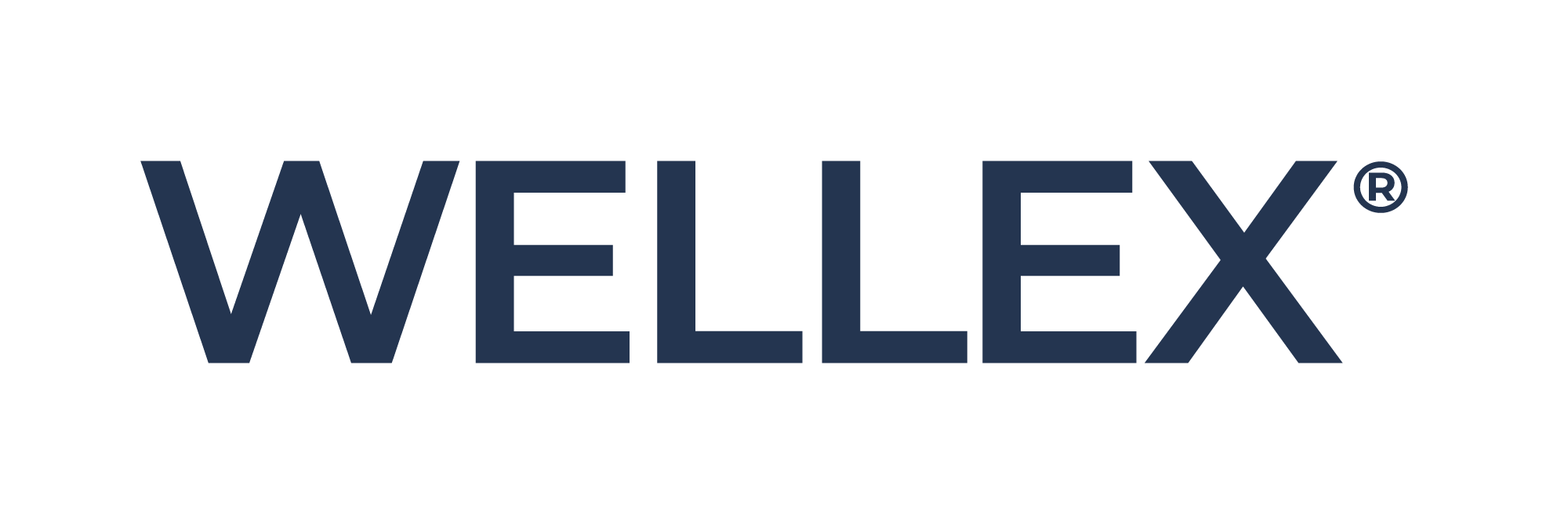 WELLEX_LOGO_NAVY.png