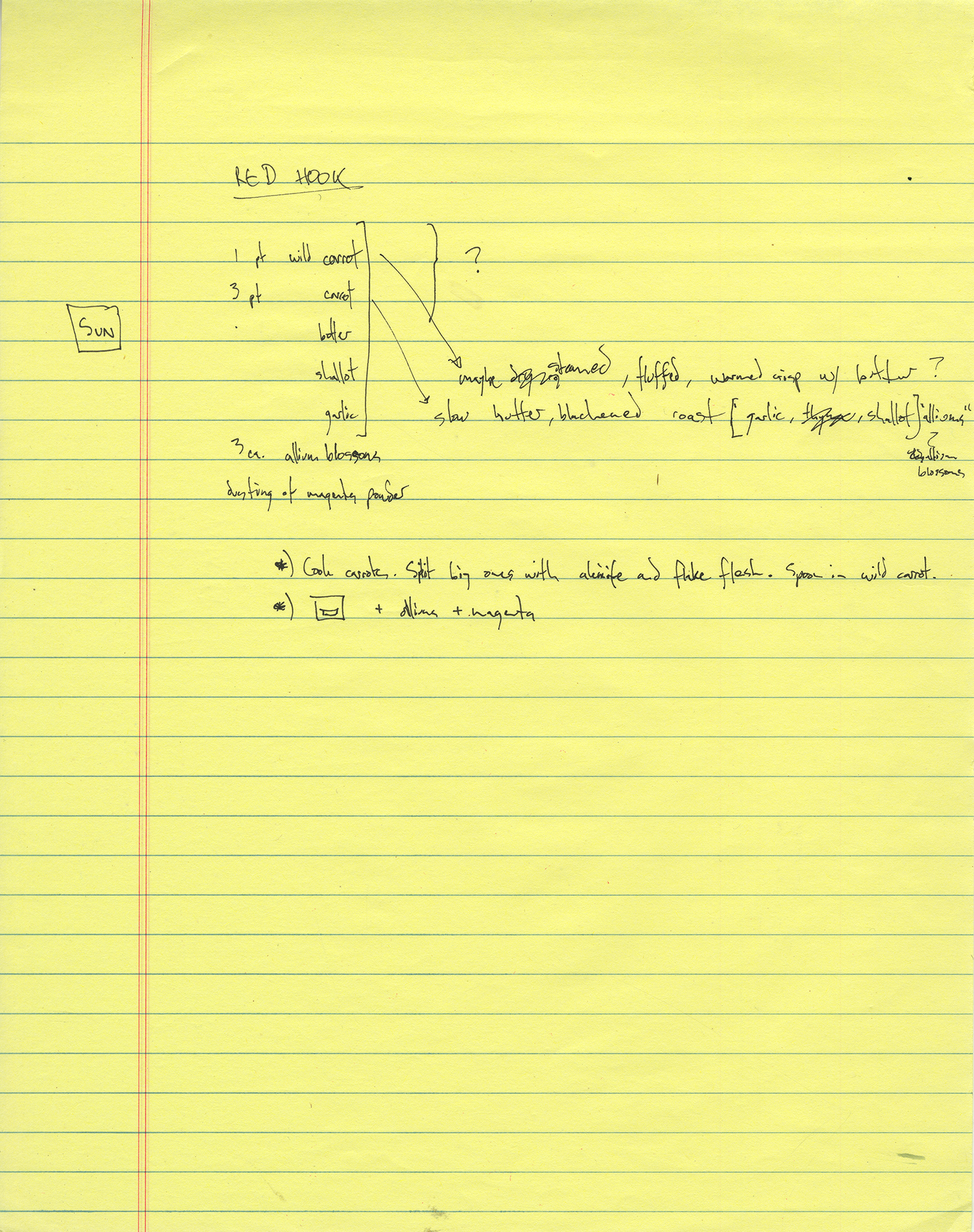 Process Notes, ink on legal pad, 8.5 x 11 in., Brooklyn, NY (2015)