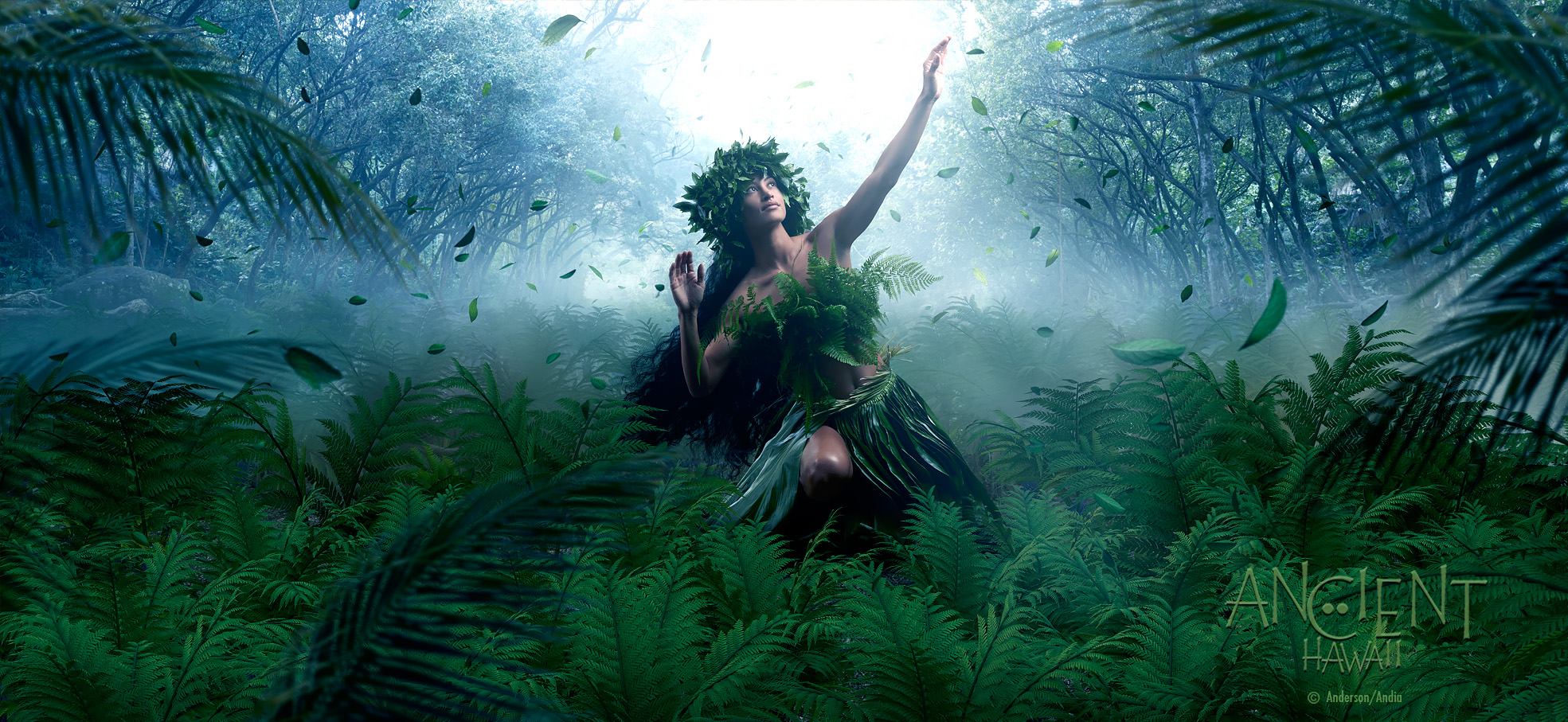 THE DANCE - Hula