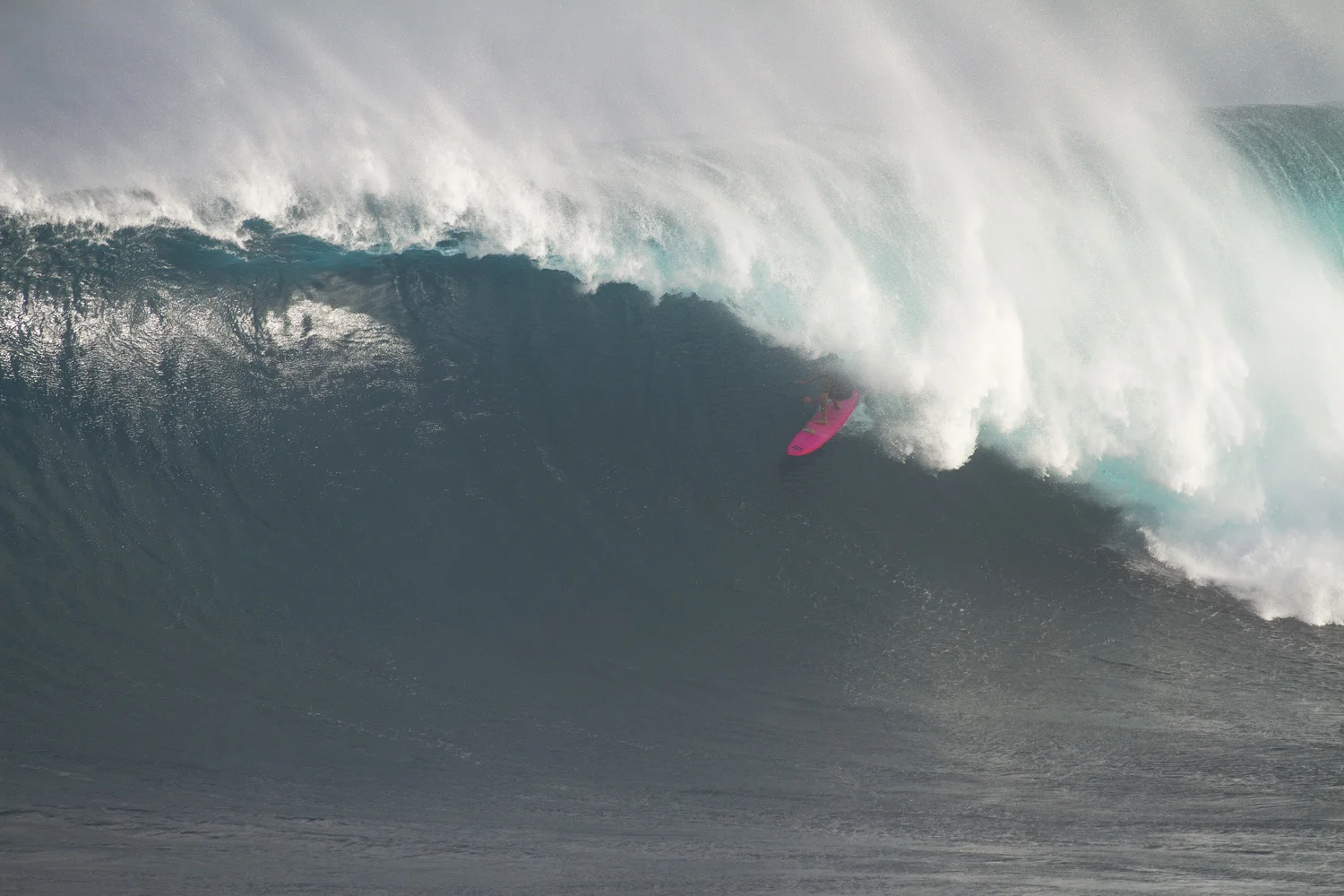 GREG LONG : LE CORPS ET L'ESPRIT