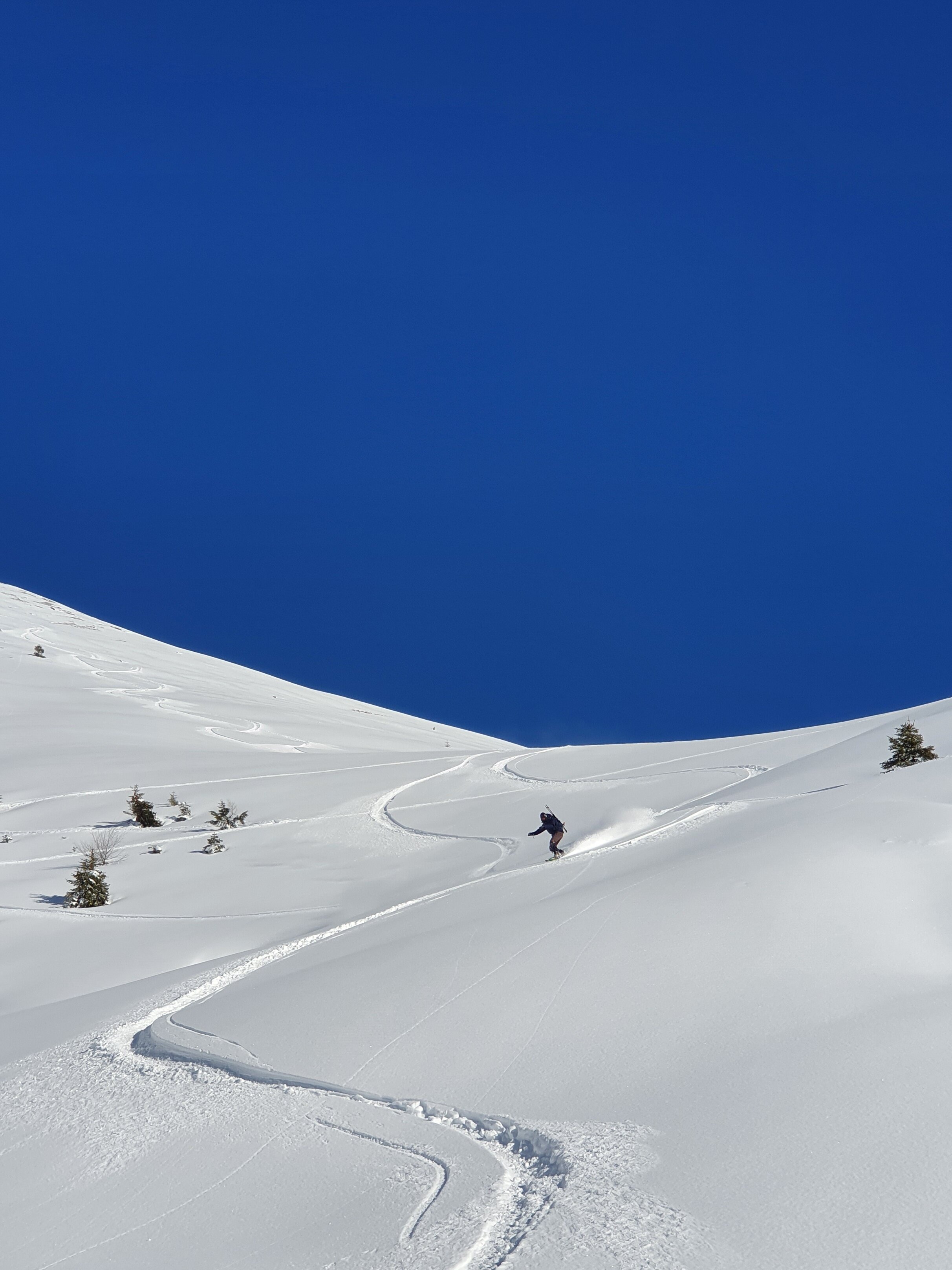 IL Y A EU DE LA NEIGE À NOËL