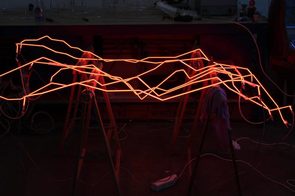 Neon Installation - Work in Progress, Rolf Sachs, 2016