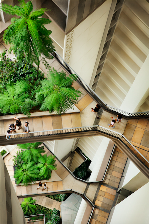 Courtesy of WOHA Architects