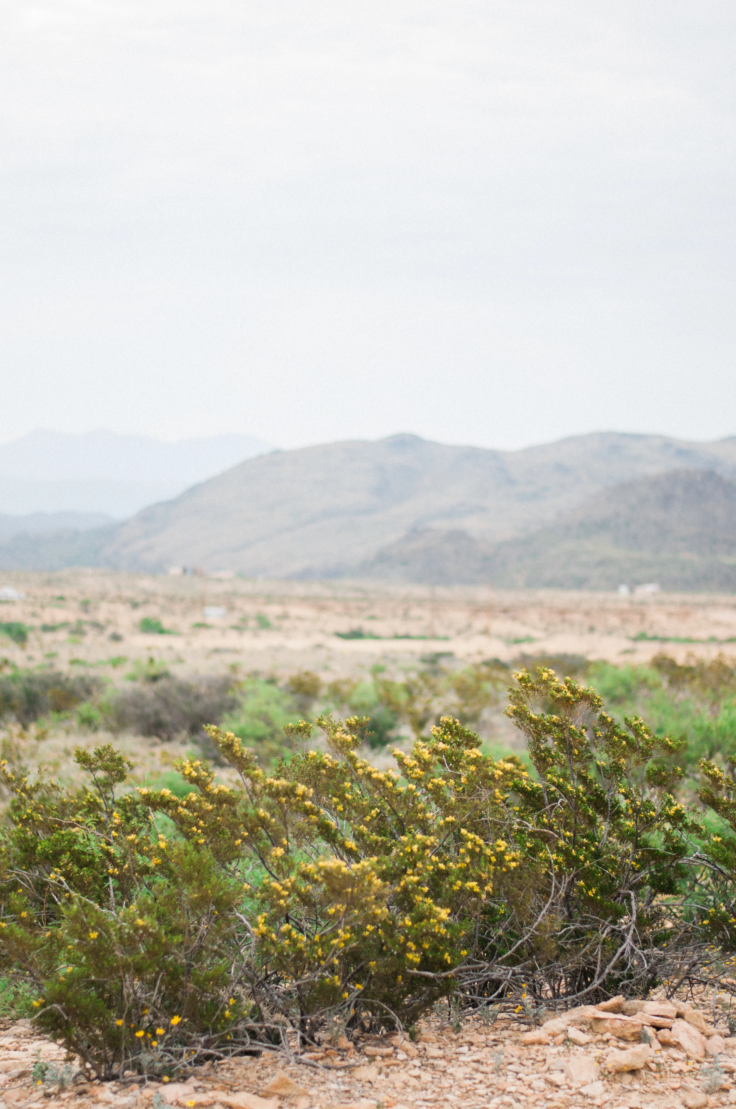 Big_Bend_DSC_2119.jpg