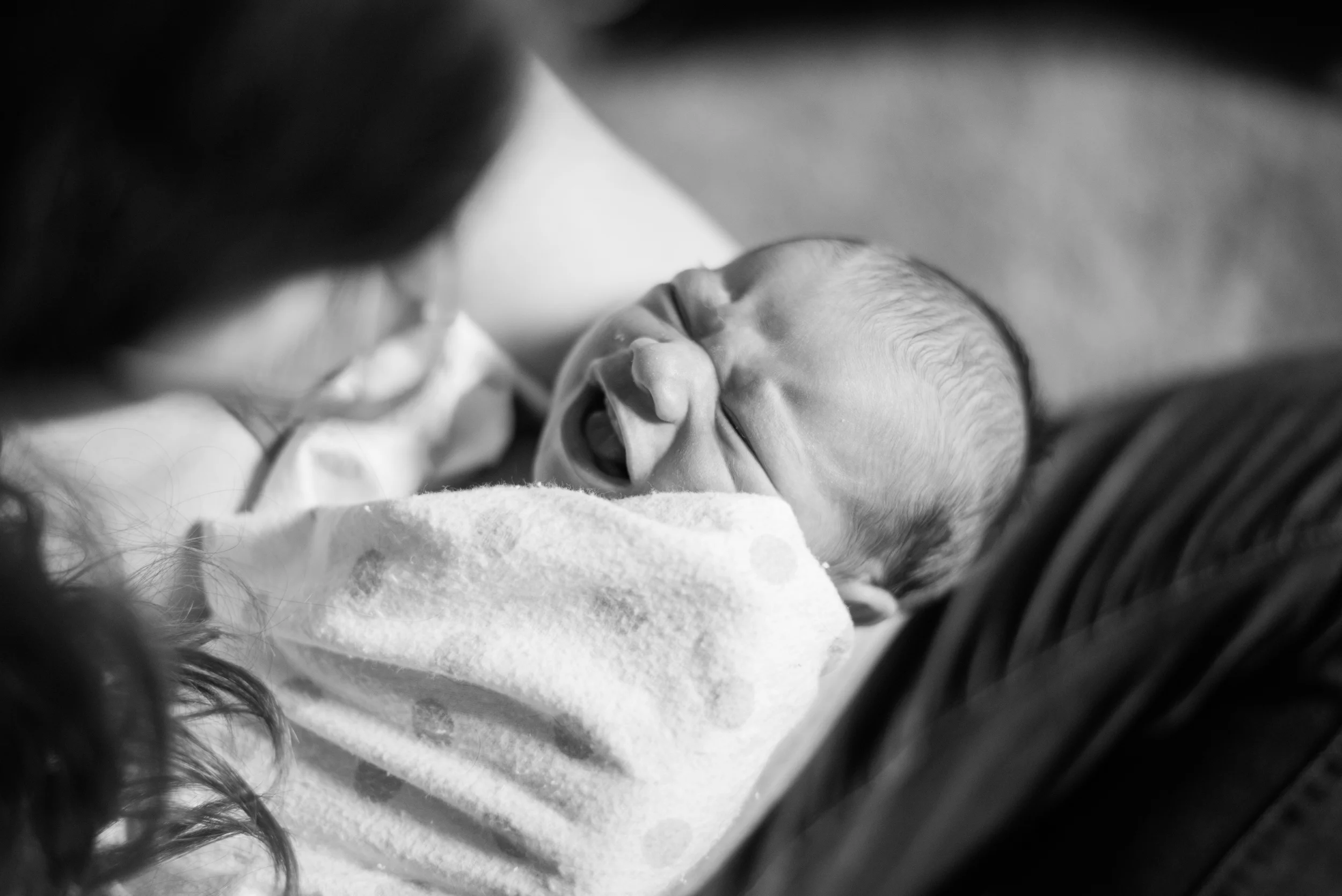 Zachary_Reed_DSC_0429.jpg