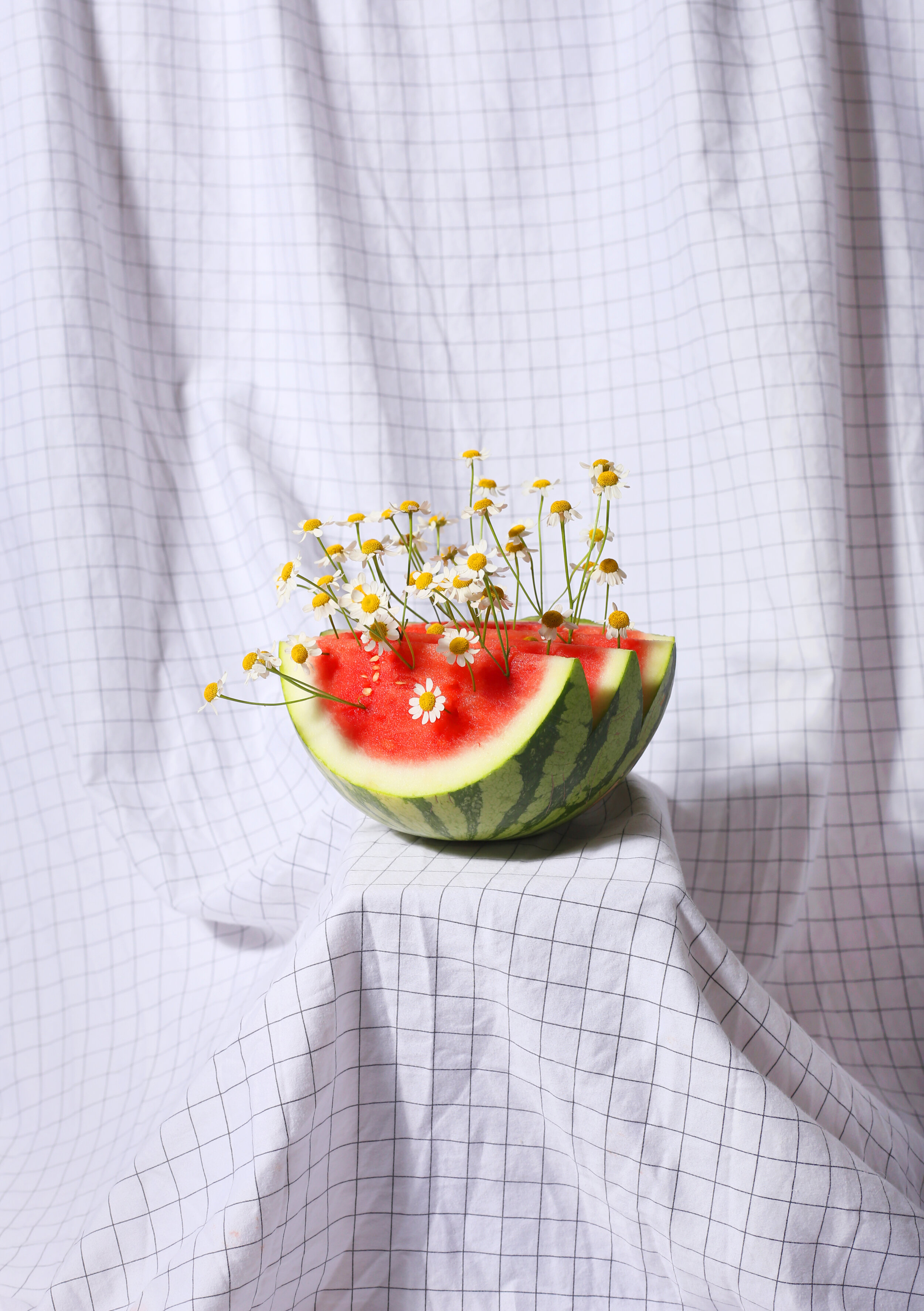 Covid Watermelon