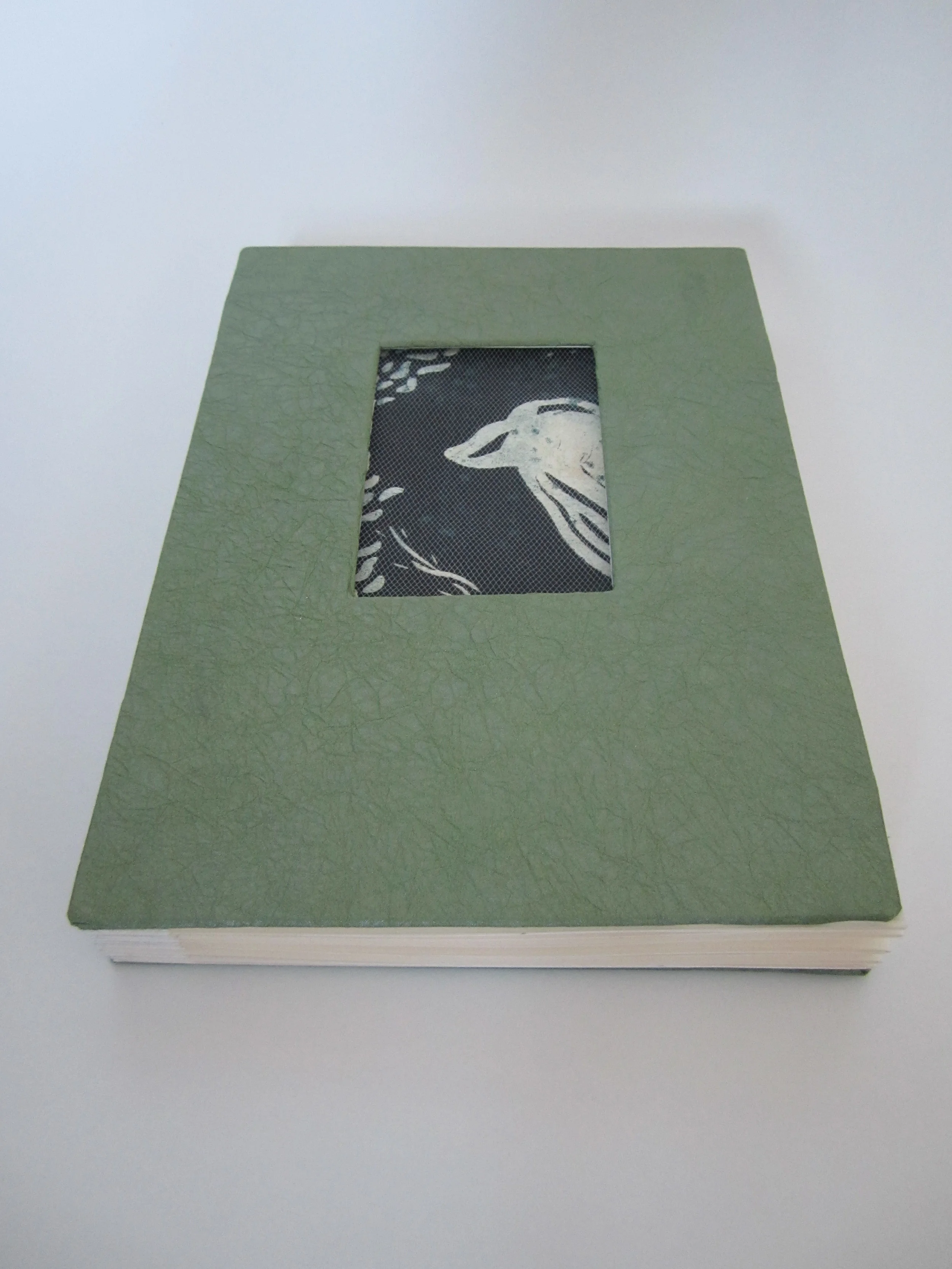 8. Bird Book (closed).JPG