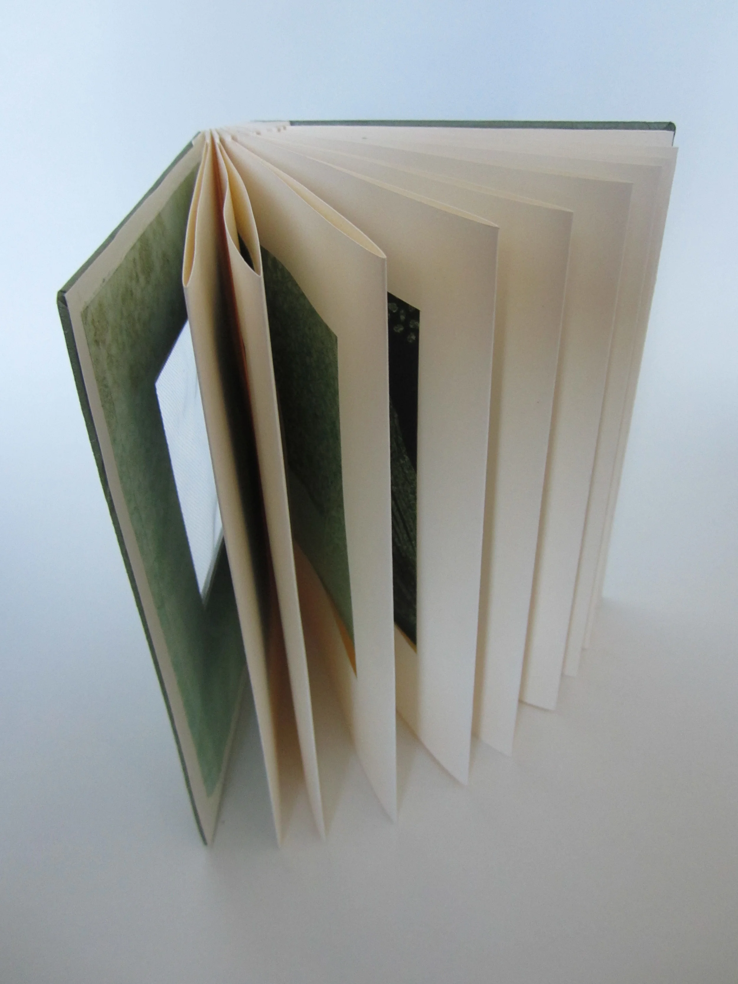 8. Bird Book (open).JPG