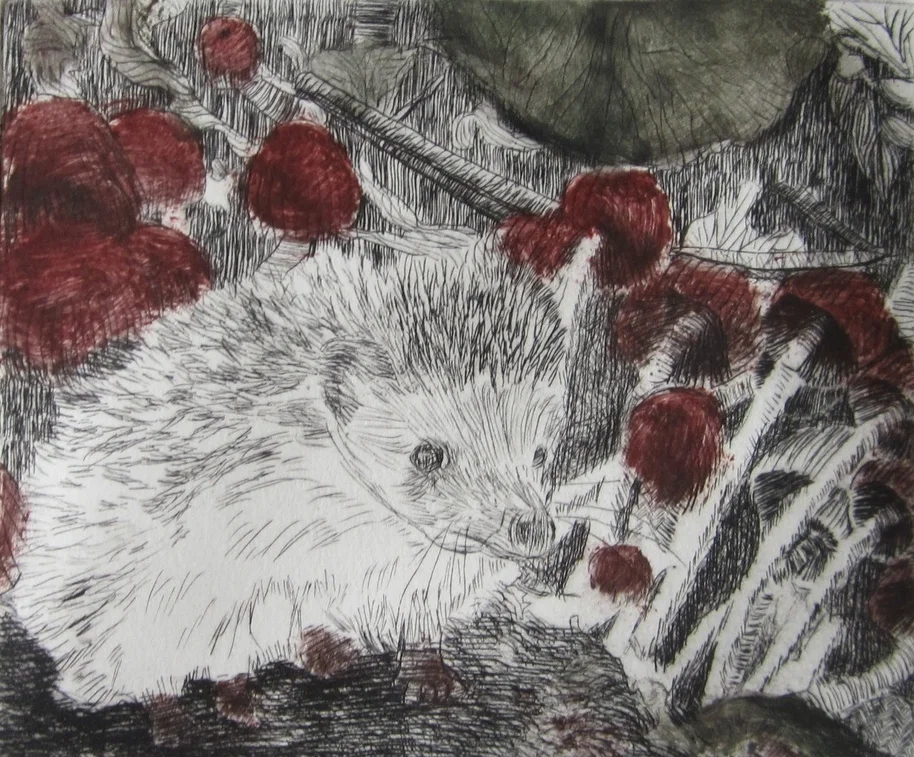 3. Little Hedgehog (Colored Inks).JPG
