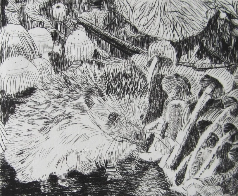 3. Little Hedgehog Etching.JPG