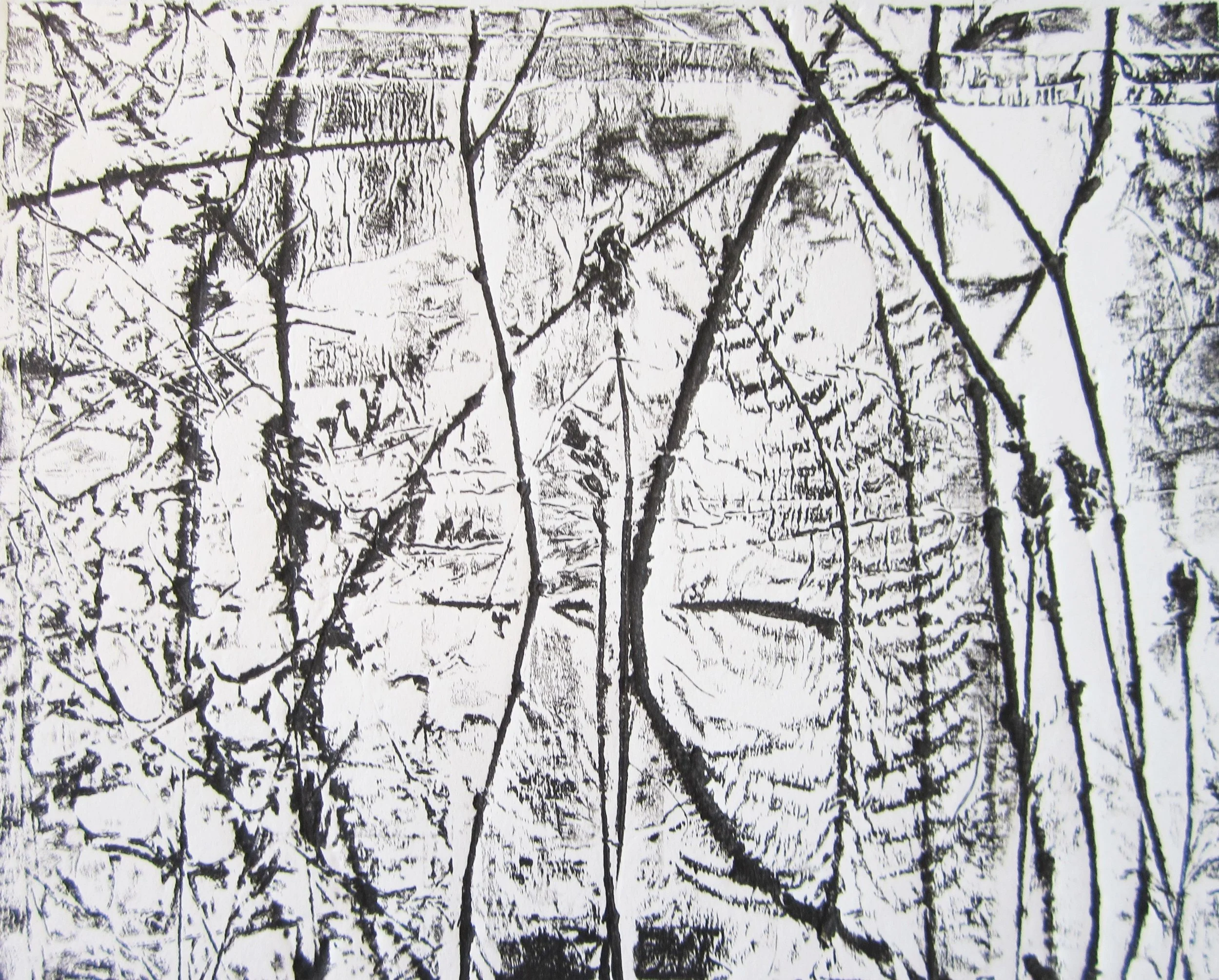 4 Flora and Fibers 1 (2).JPG