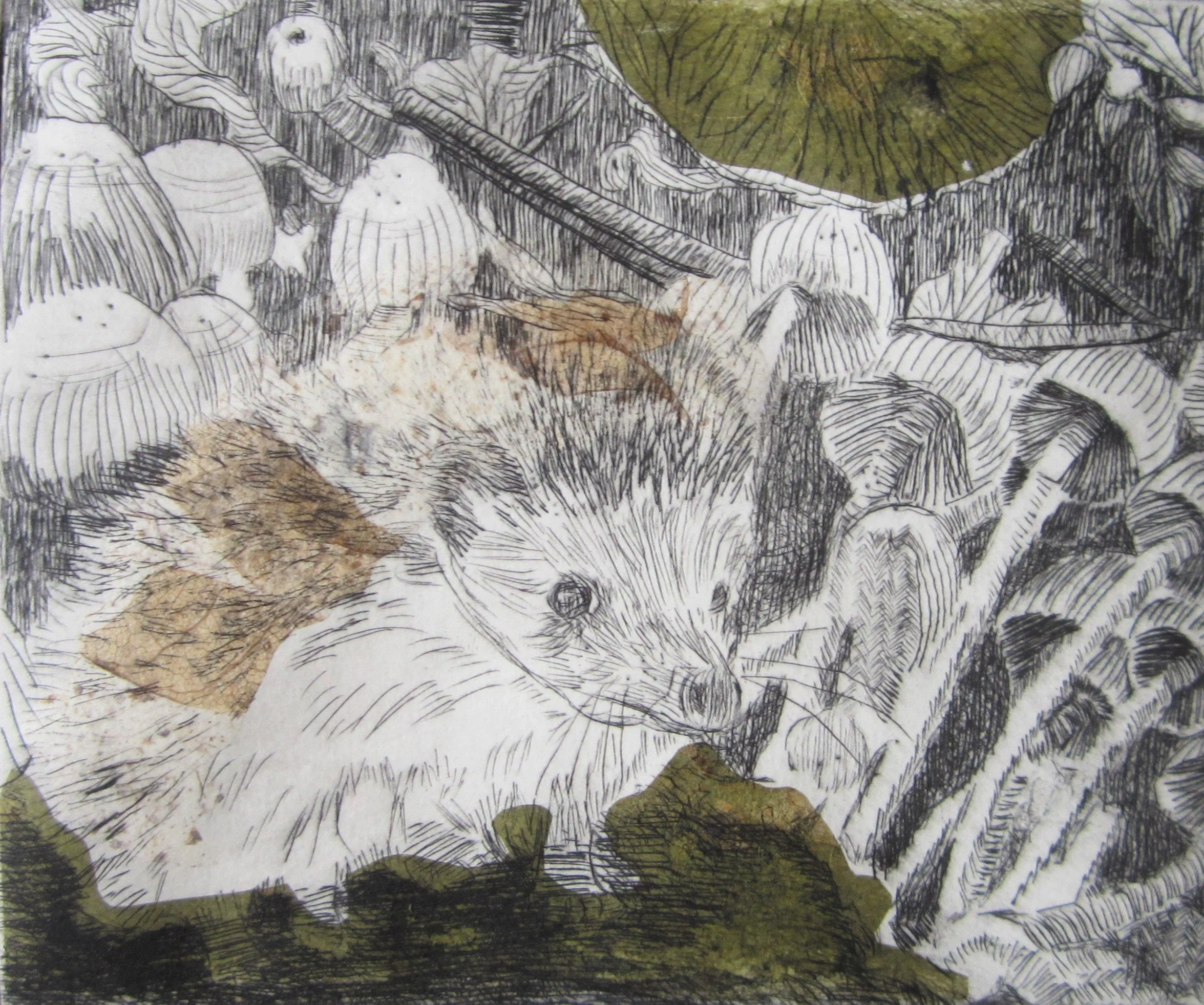 3. Little Hedgehog (Chine Colle) (2).JPG