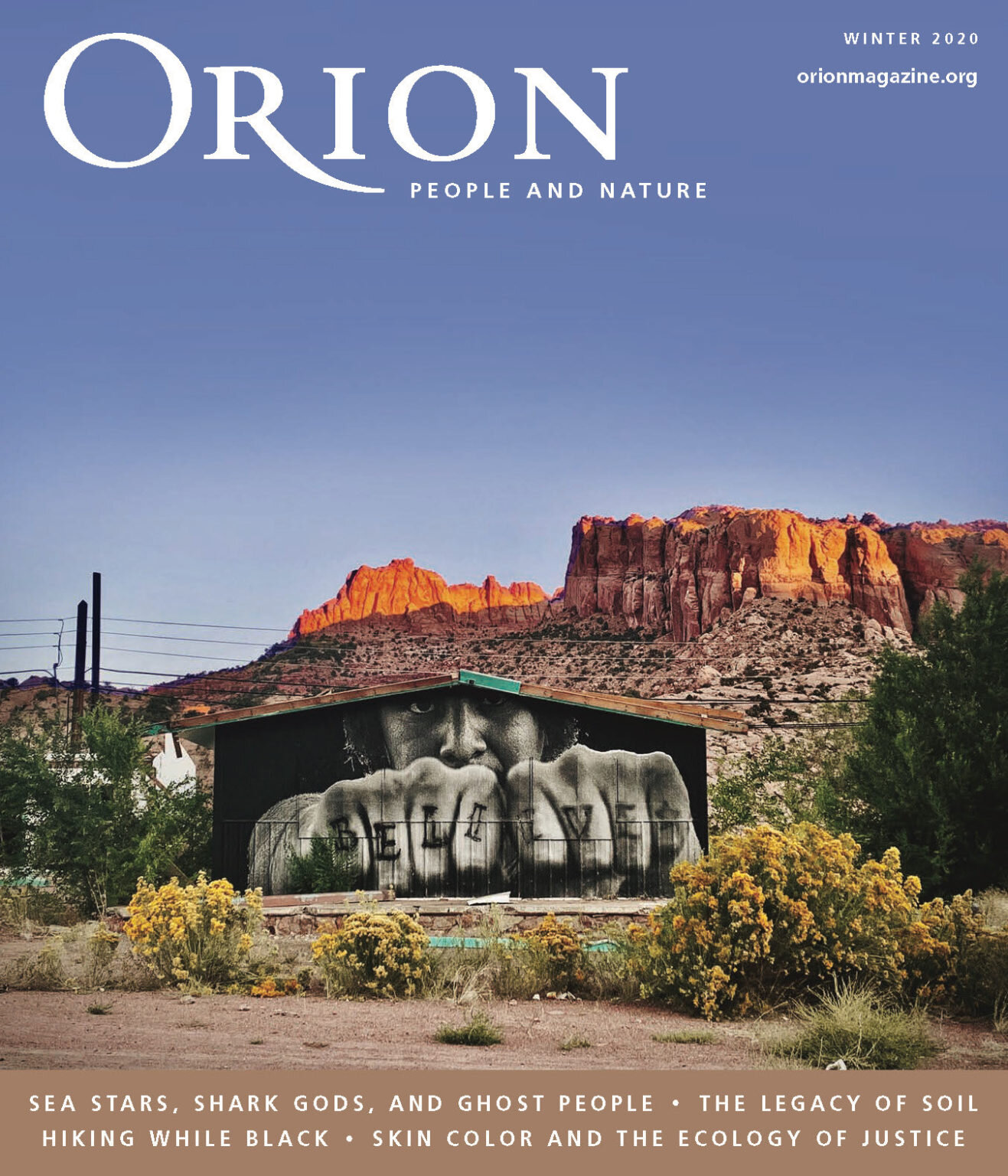 The Forest Man in Orion Magazine