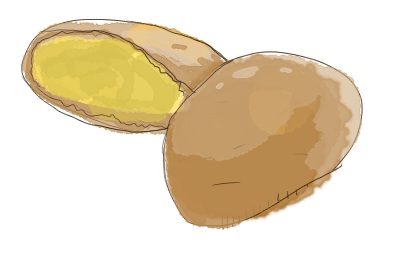 A drawing of a Hakata Toorimon that doesn't convey how absolutely delicious and special it is one bit.