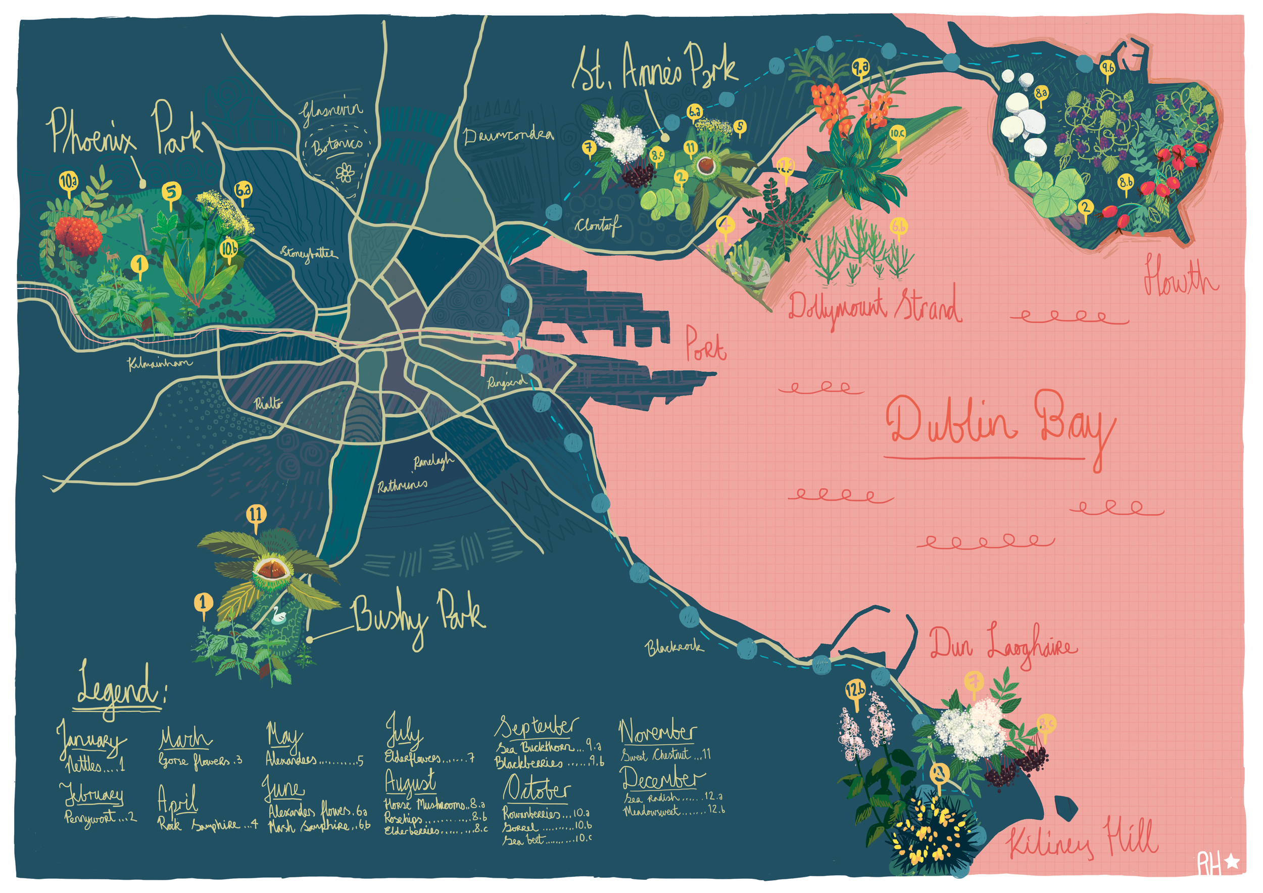 Foraging Map of Dublin