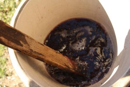 Stirring a recently started elderberry mead (or melomel , i.e., fruit mead).
