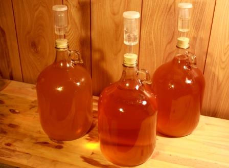 Two meads and a wine in various stages of fermentation. After a few months, most meads will become quite clear, and can be clarified further with regular rackings. 