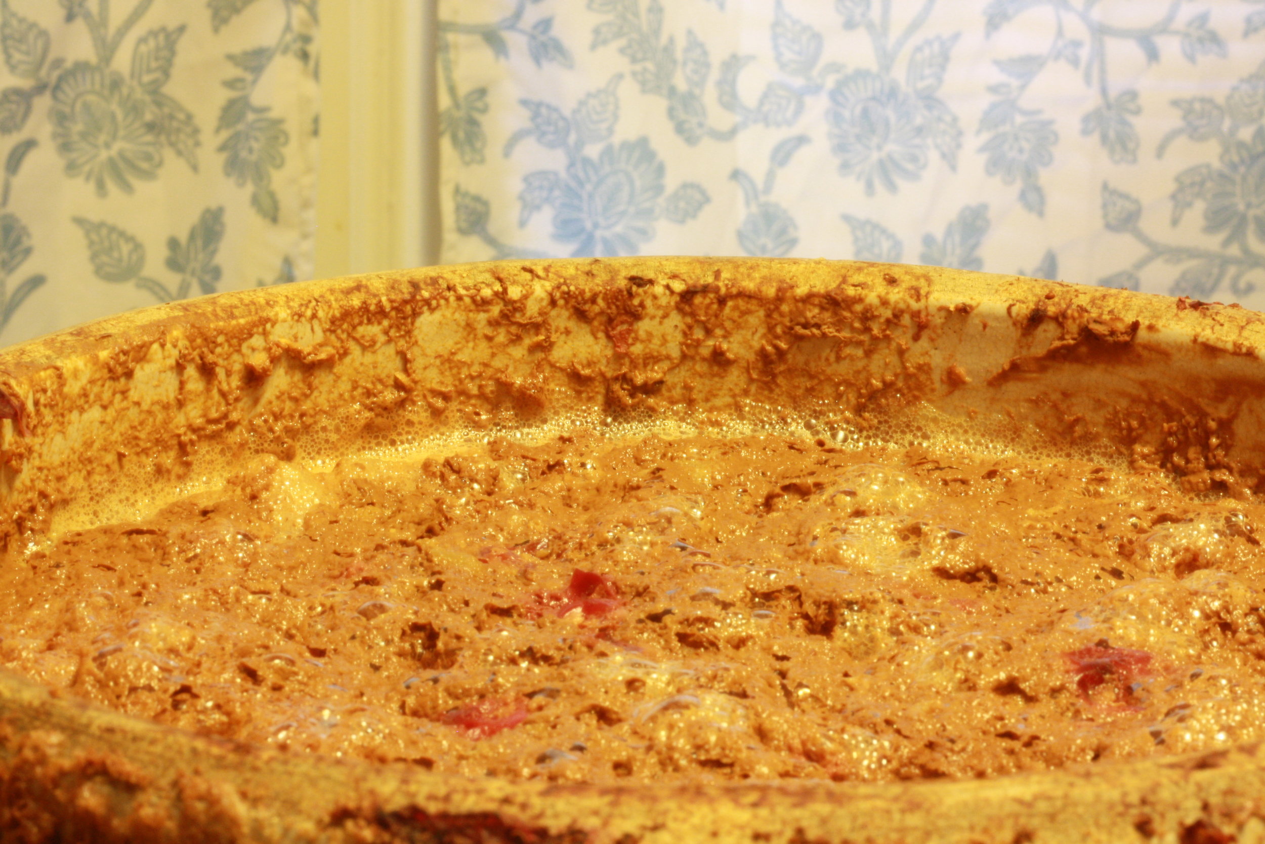 Wild Yeast is Your Friend