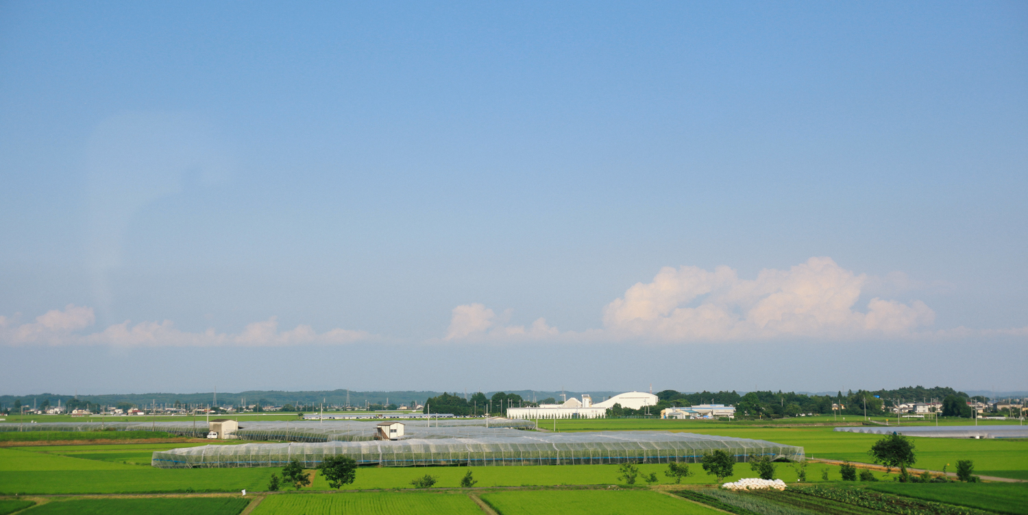 On the high speed train to Sendai. I took this photo out of the window going nearly 200 miles per hour, I think. 