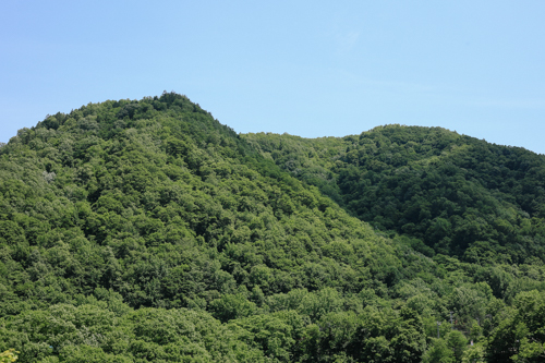 The view from our room in Jozenkai. I like it. 