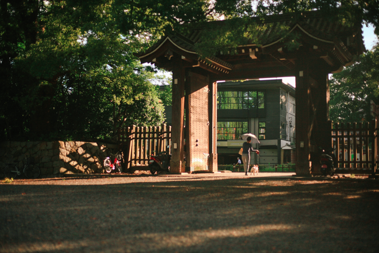 The gates that lead into a large Park in Kyoto. 