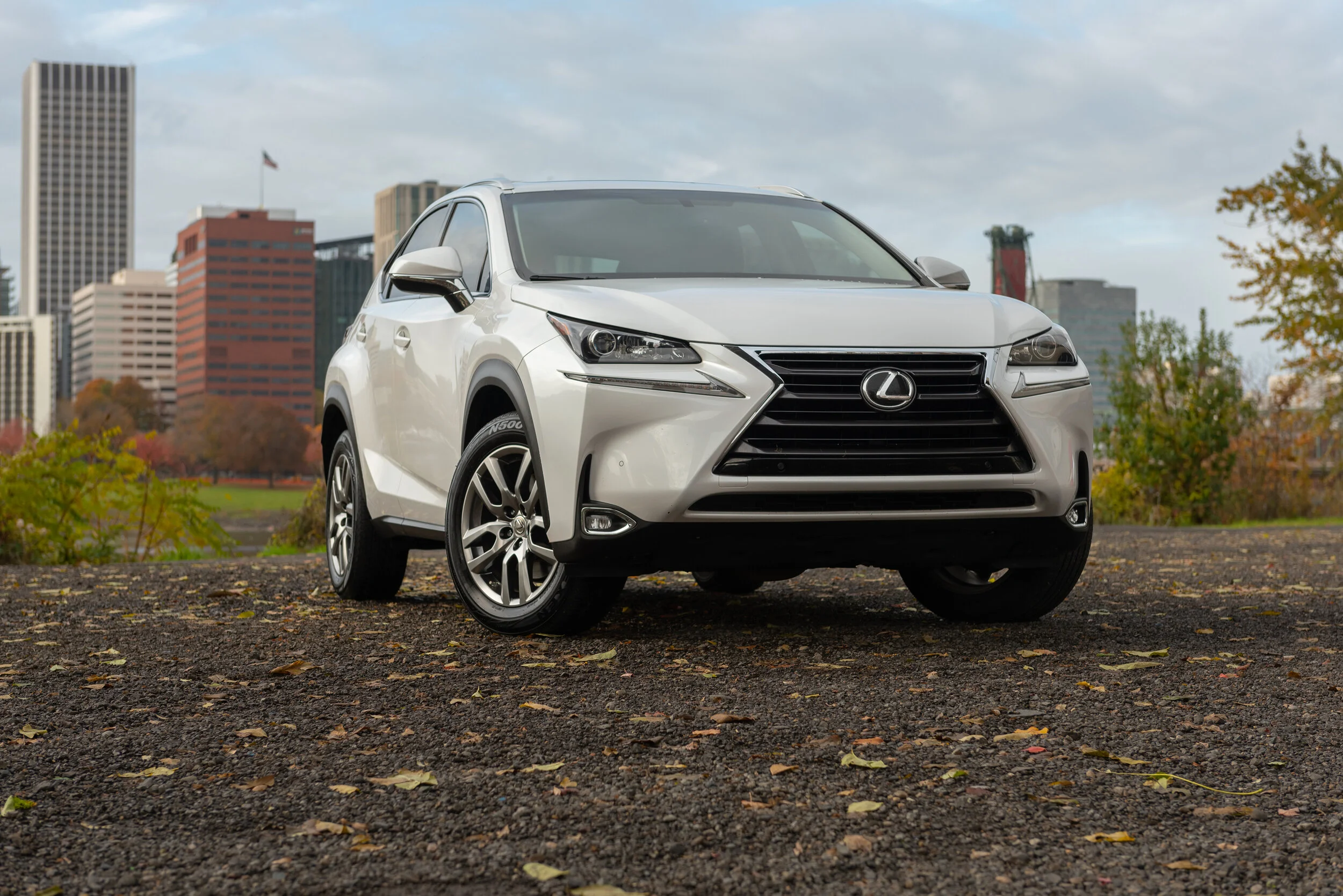 White-Lexus-2.JPG