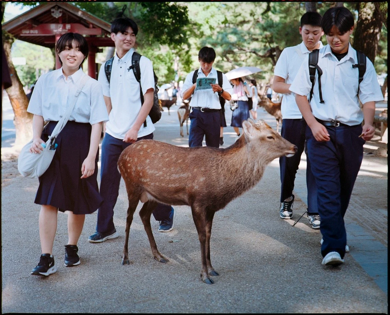 2025_Japan-10 Large.jpeg