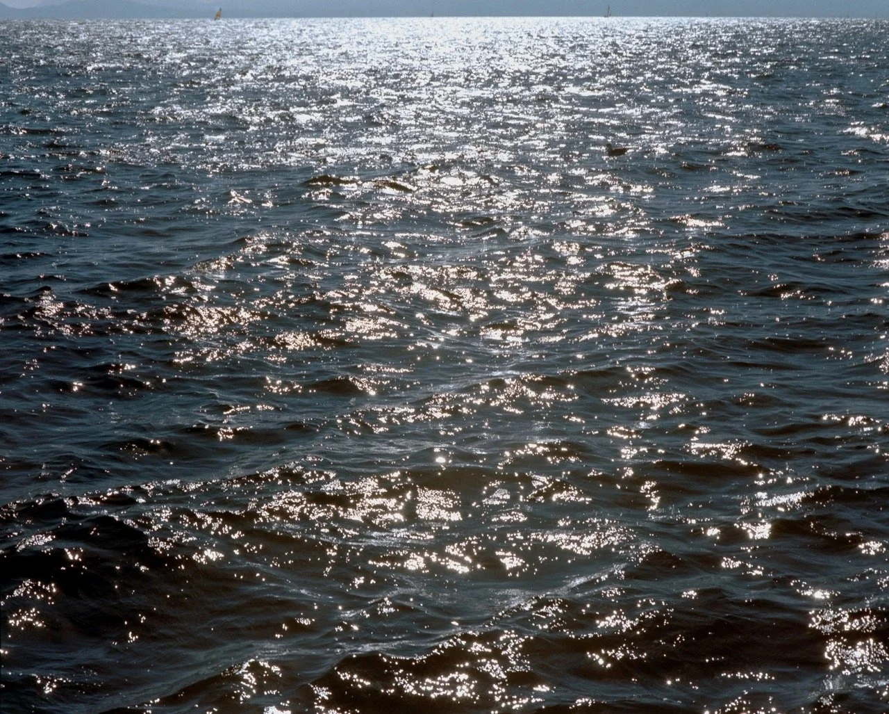 _DSC6865 Large.jpeg