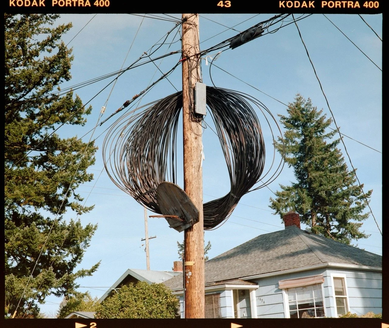 film+scans-420 Large.jpeg